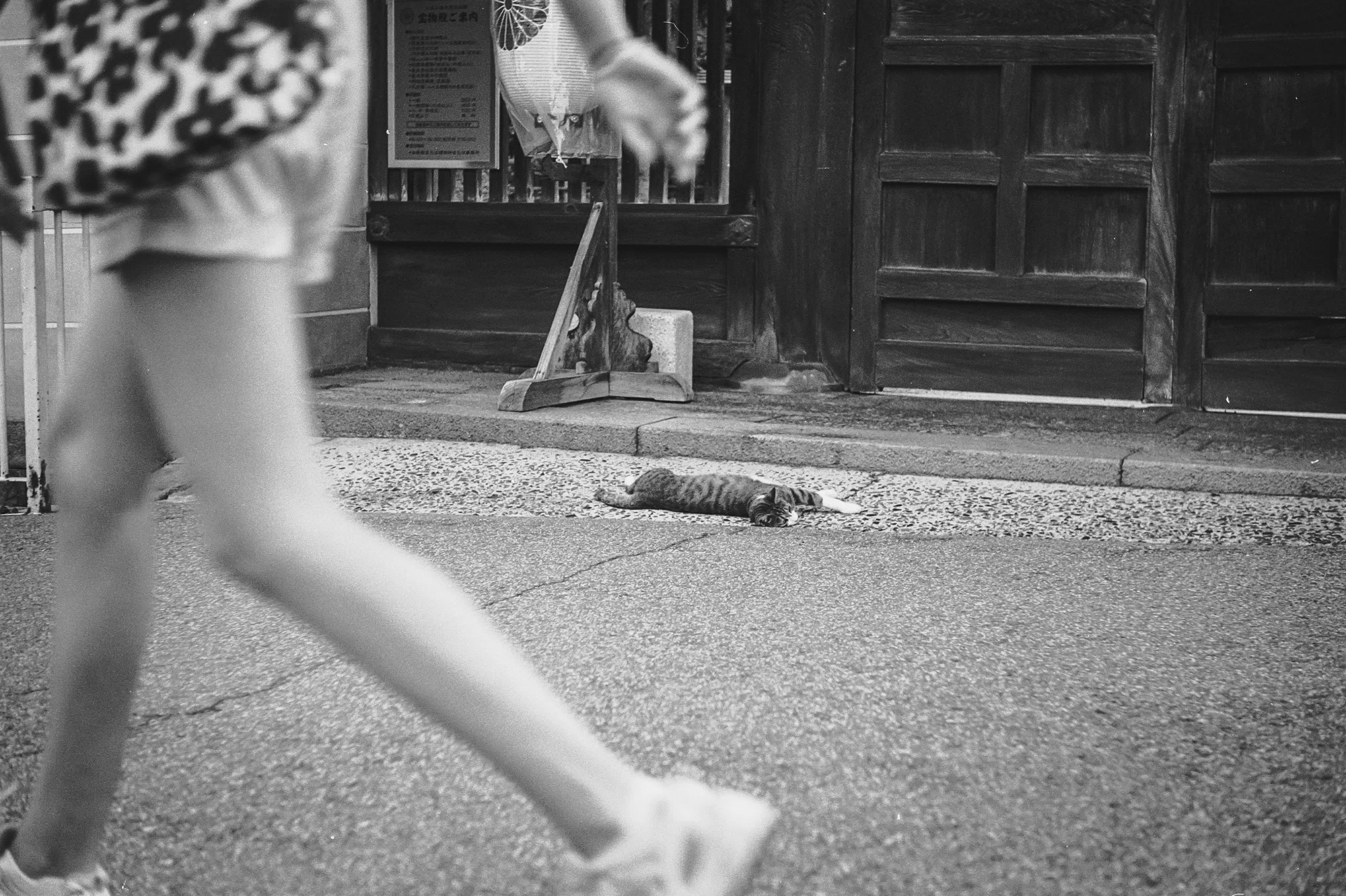 2024年7月の写活（バルナックライカデビューでフィルム三昧