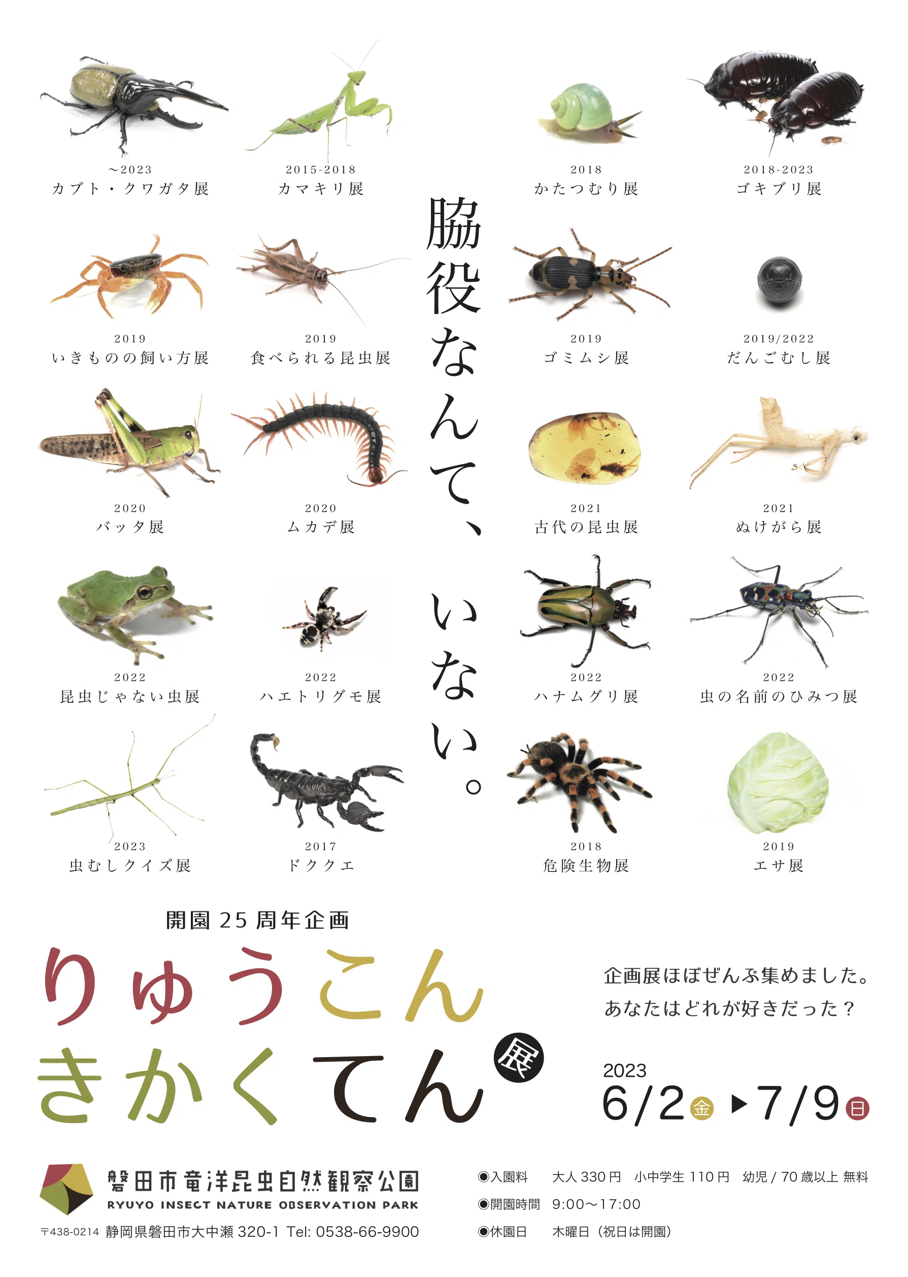 それでも虫はそこにいる。～身近なマイナー昆虫紹介～｜竜洋昆虫自然