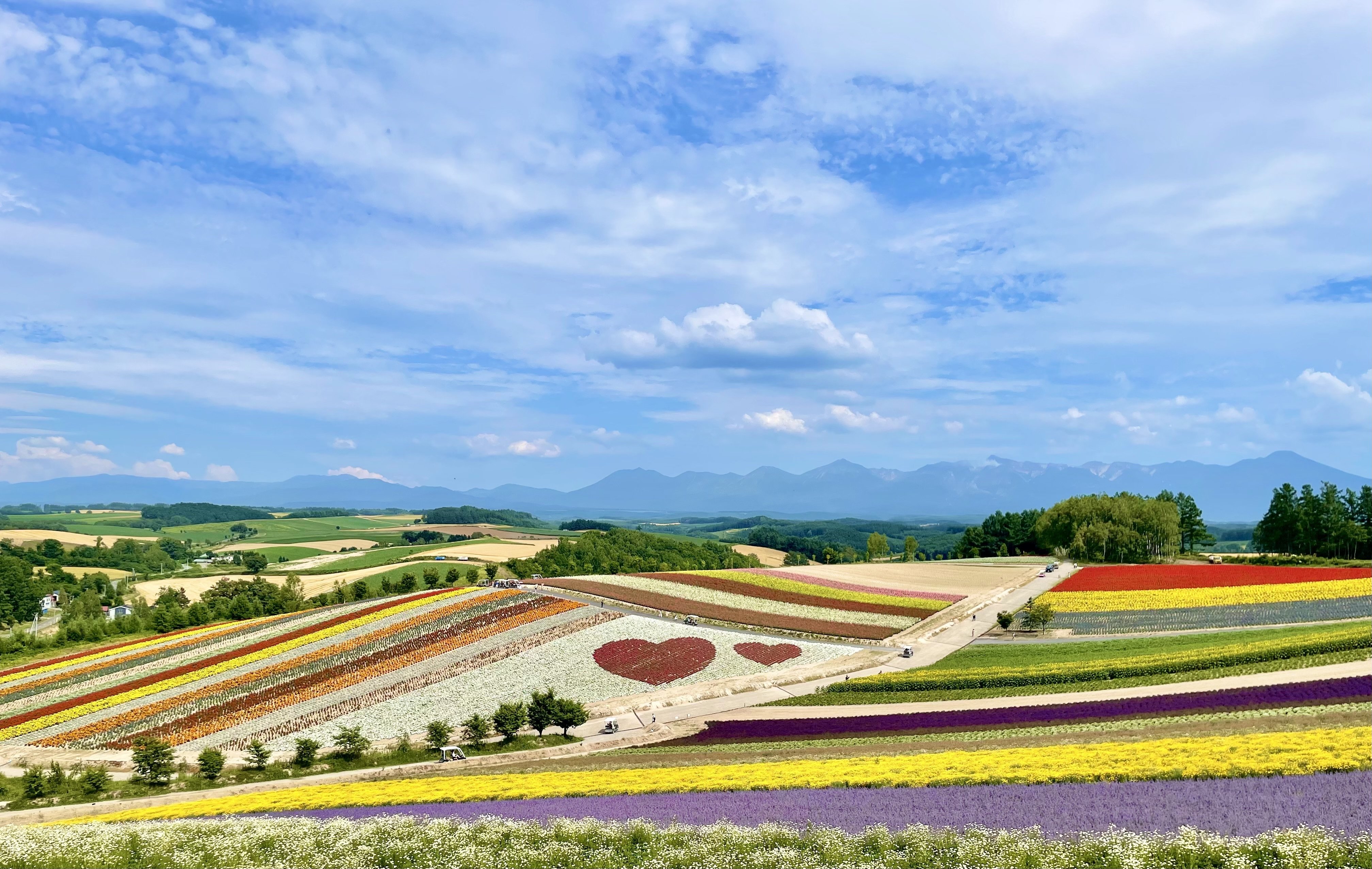 美瑛の丘組み木アートC