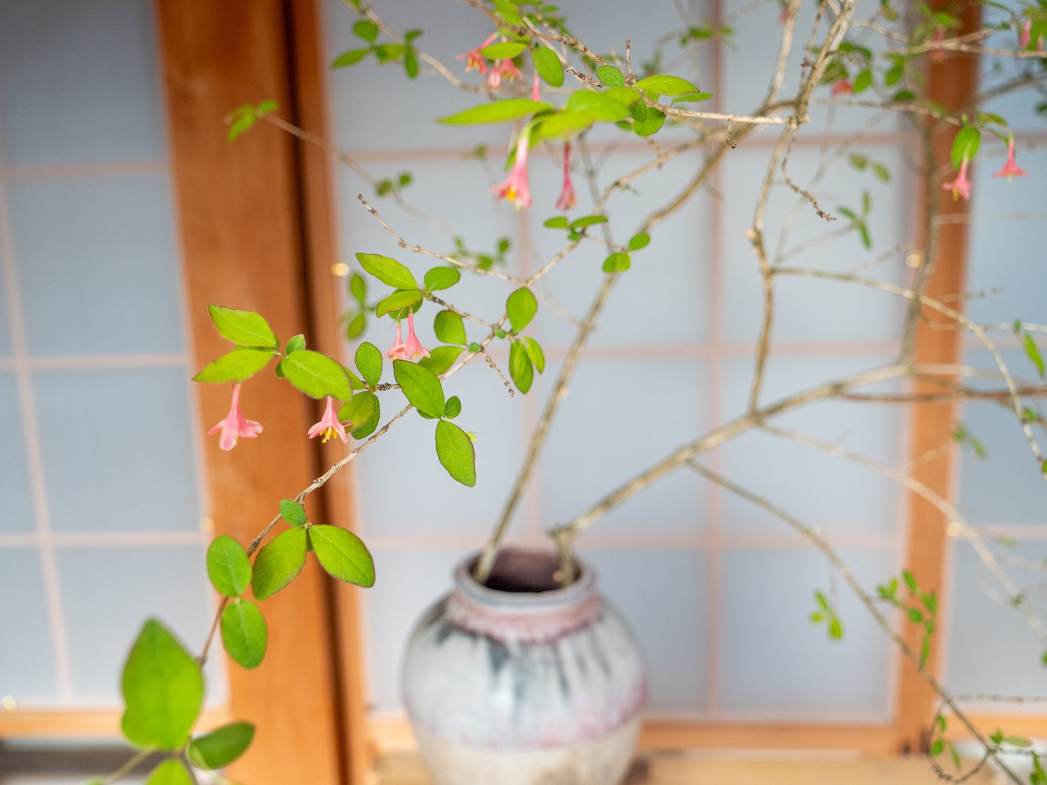 壺　雰囲気良さげです。 安土草多 吹きガラス ペンダントライト 八角細筒瓶 青透被せ AZ