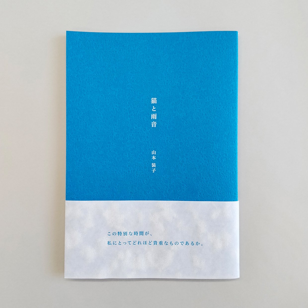 書　色紙　雨降りて地固まる　表装済み 色紙額 K-80 普通色紙サイズ（272×242mm）専用 紺/エンジ/ベージュ