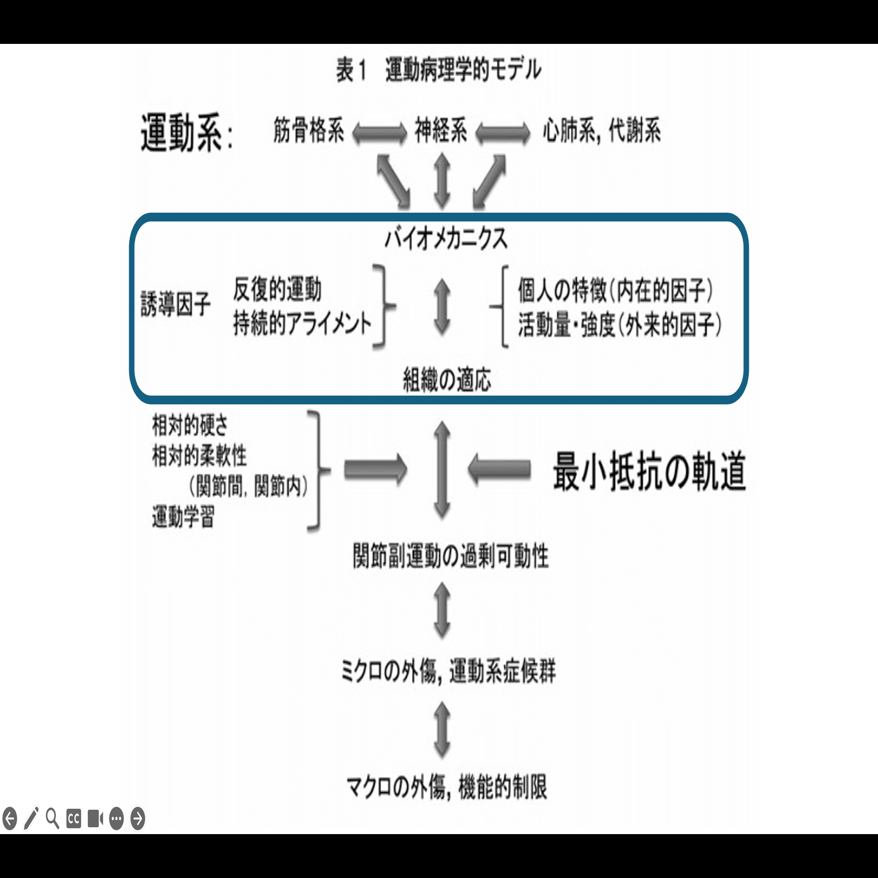 人体物理学 動きと循環のメカニズムを探る 人体物理学: 動きと循環のメカニズムを探る | ア-ビング P.ハ-マン |本