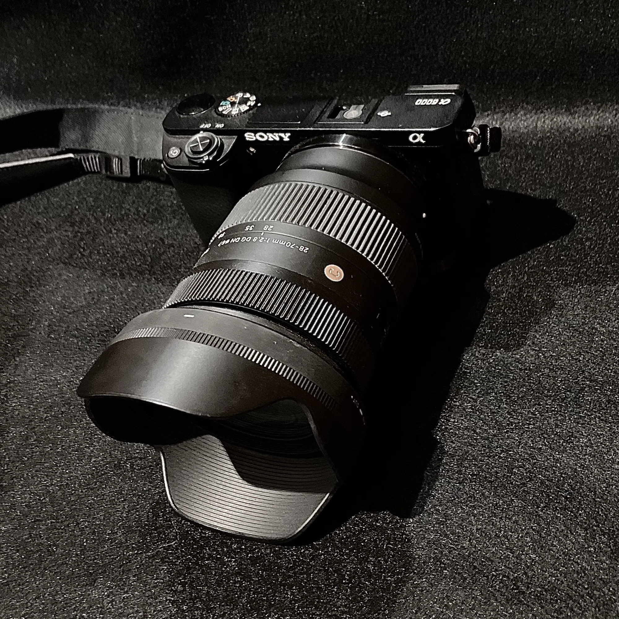 新人カメラマンのレンズレビュー】SIGMA 28-70mm f2.8 DG DNは、寄って 