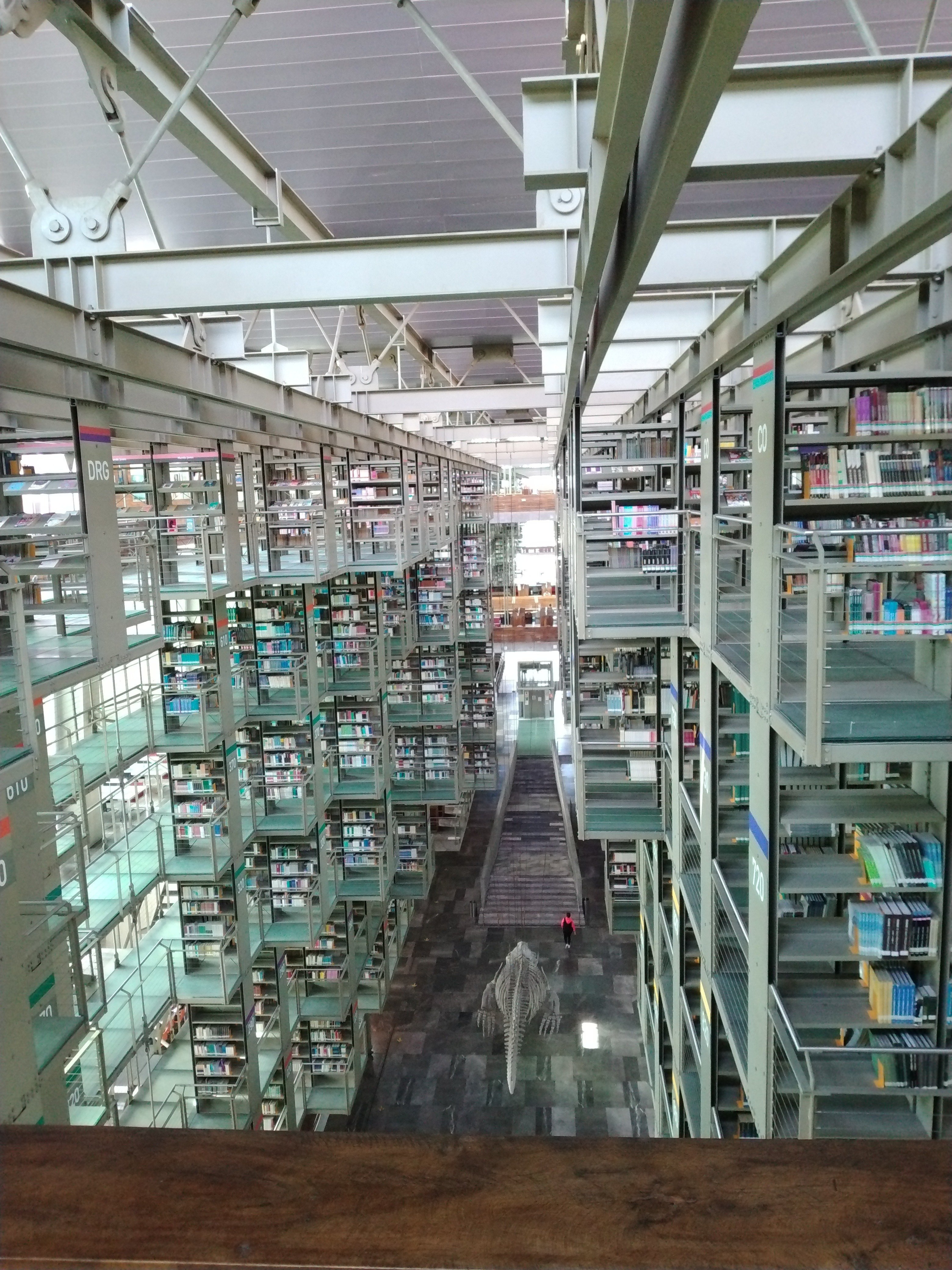 2024/3/16 10:30 「死ぬまでに行ってみたい、世界の図書館」に選ばれた