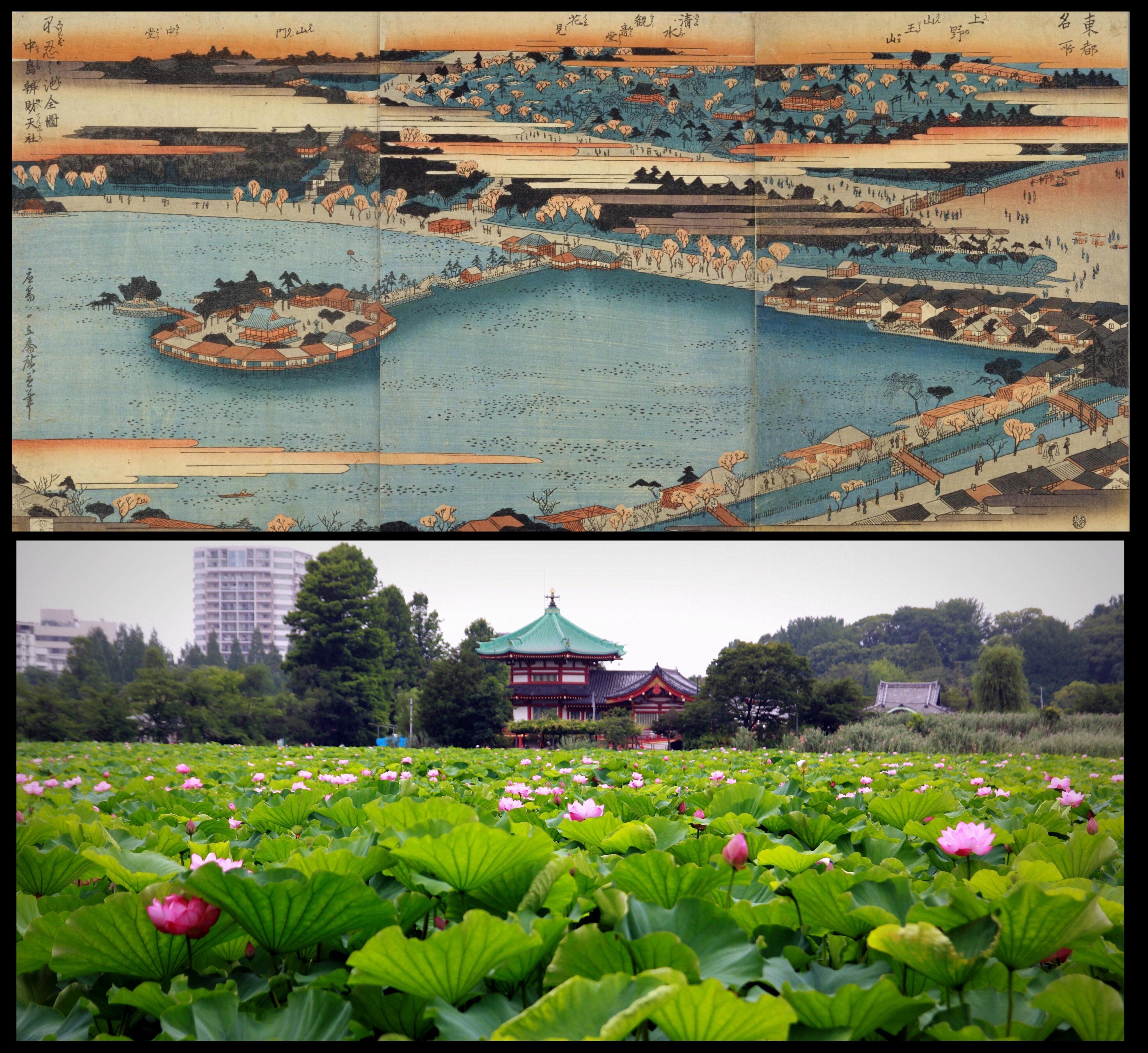 神仏探偵・本田不二雄が案内する 「TOKYO地霊WALK」 vol.5 ｜駒草出版