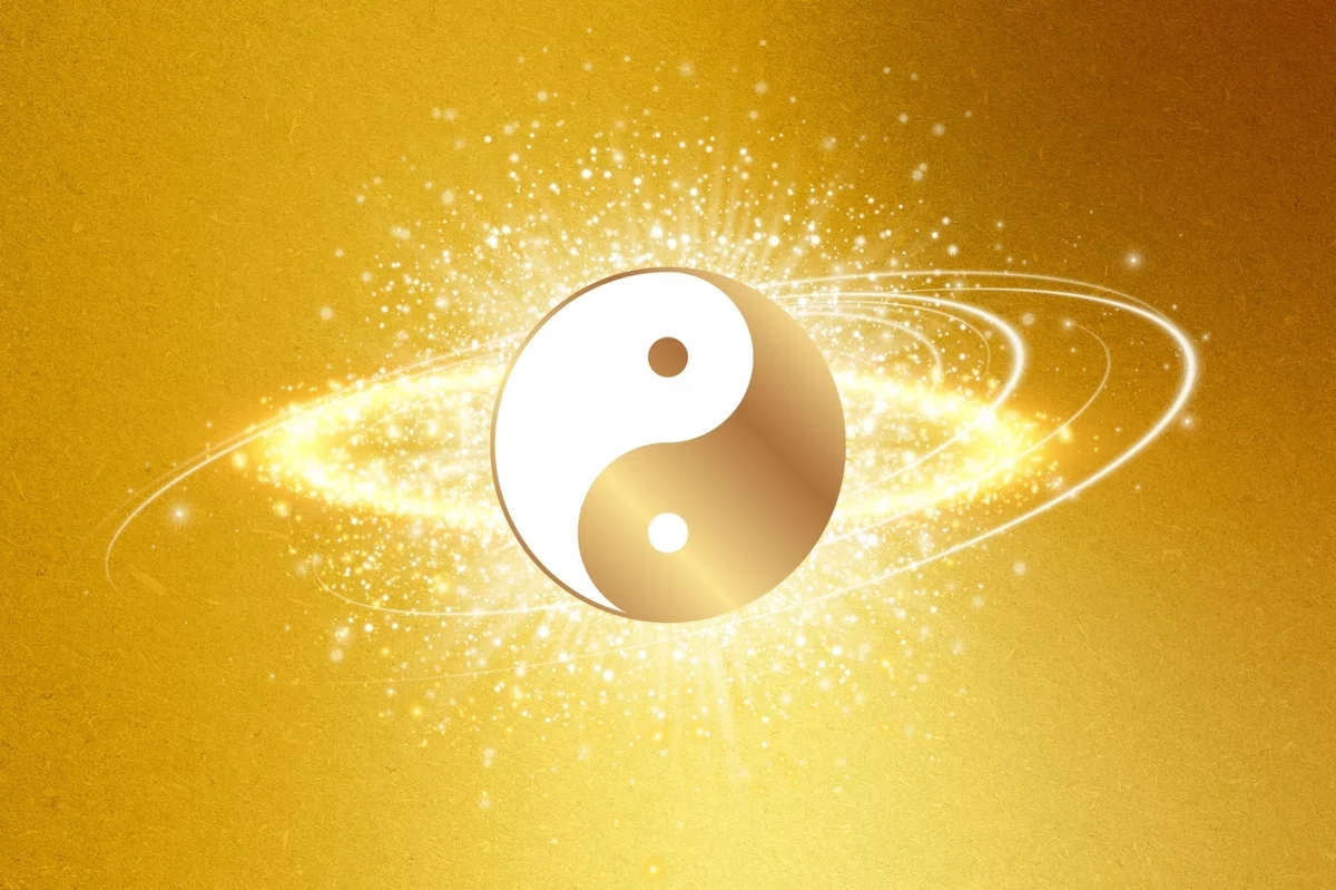 世界は陰と陽に分けられる。一人一人が持つ陰星、陽星とは?|芦田ひろし