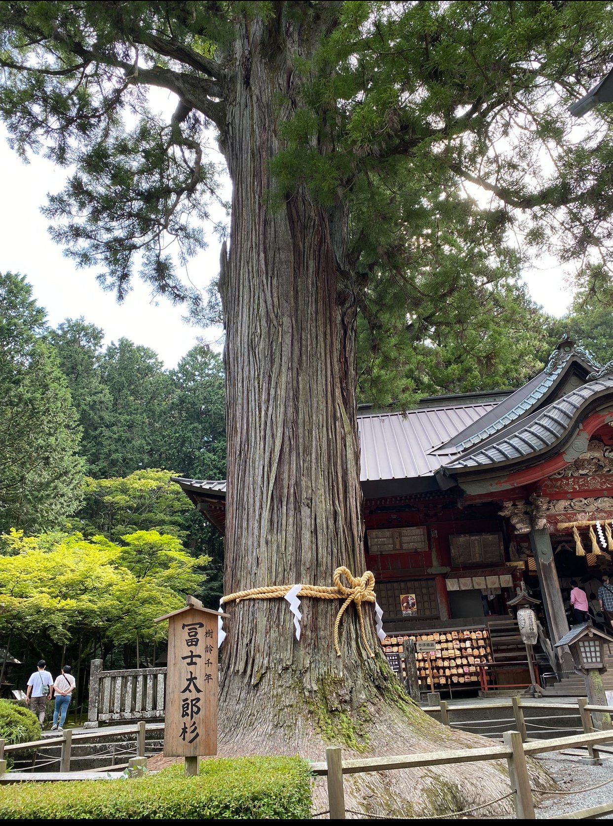 夏本さちえ　【上級呪物】日本神話・自然の神『木花咲耶姫』様が宿るペンダント 単行本のご予約がスタートしていました🌸 #文豪に捧げる乙女 7巻