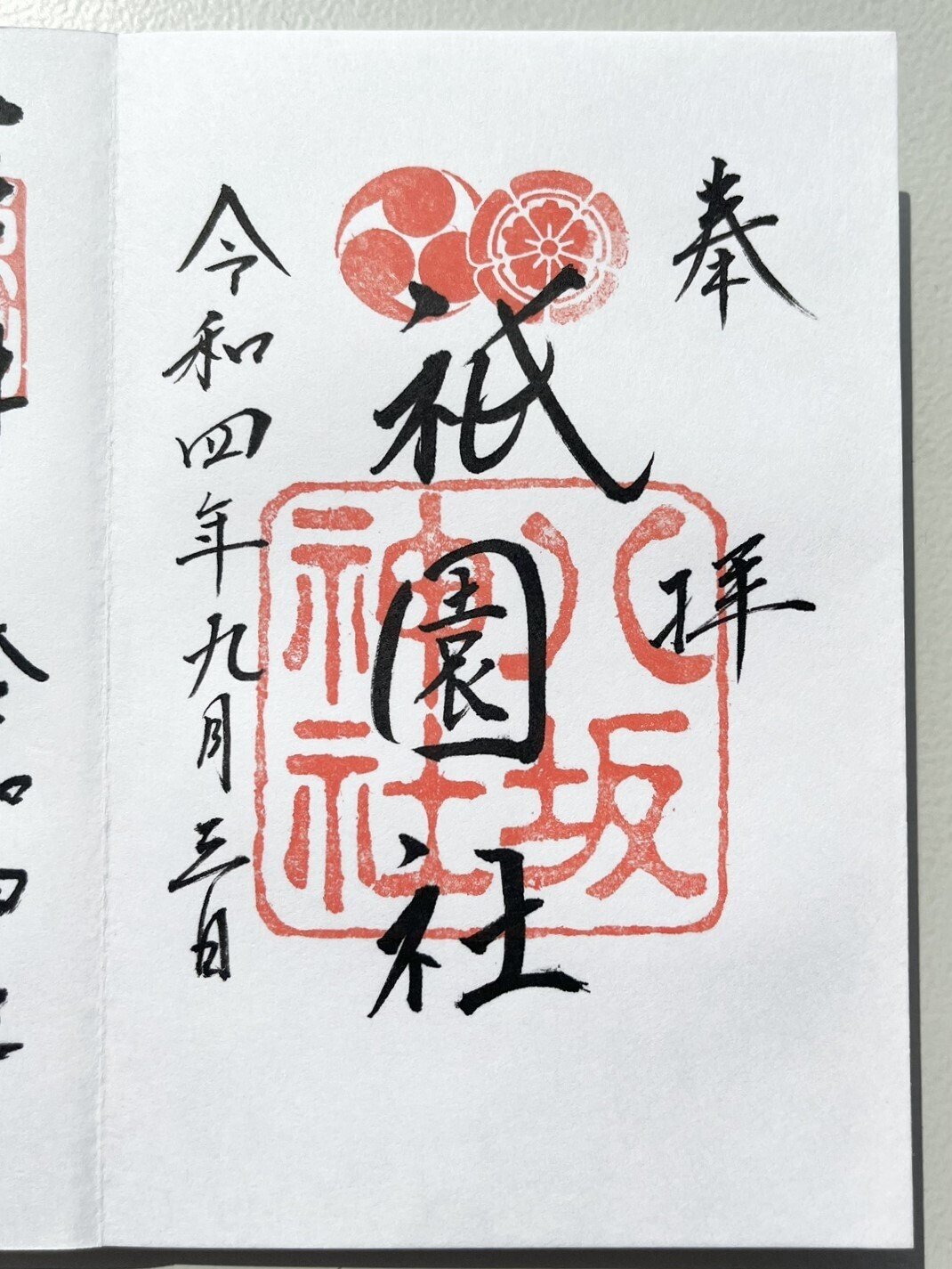 御朱印巡り♡♡ 𓊆 8月の限定御朱印 𓊇 ㅤㅤㅤㅤㅤㅤㅤㅤㅤㅤㅤㅤㅤ 8月の限定御朱印は