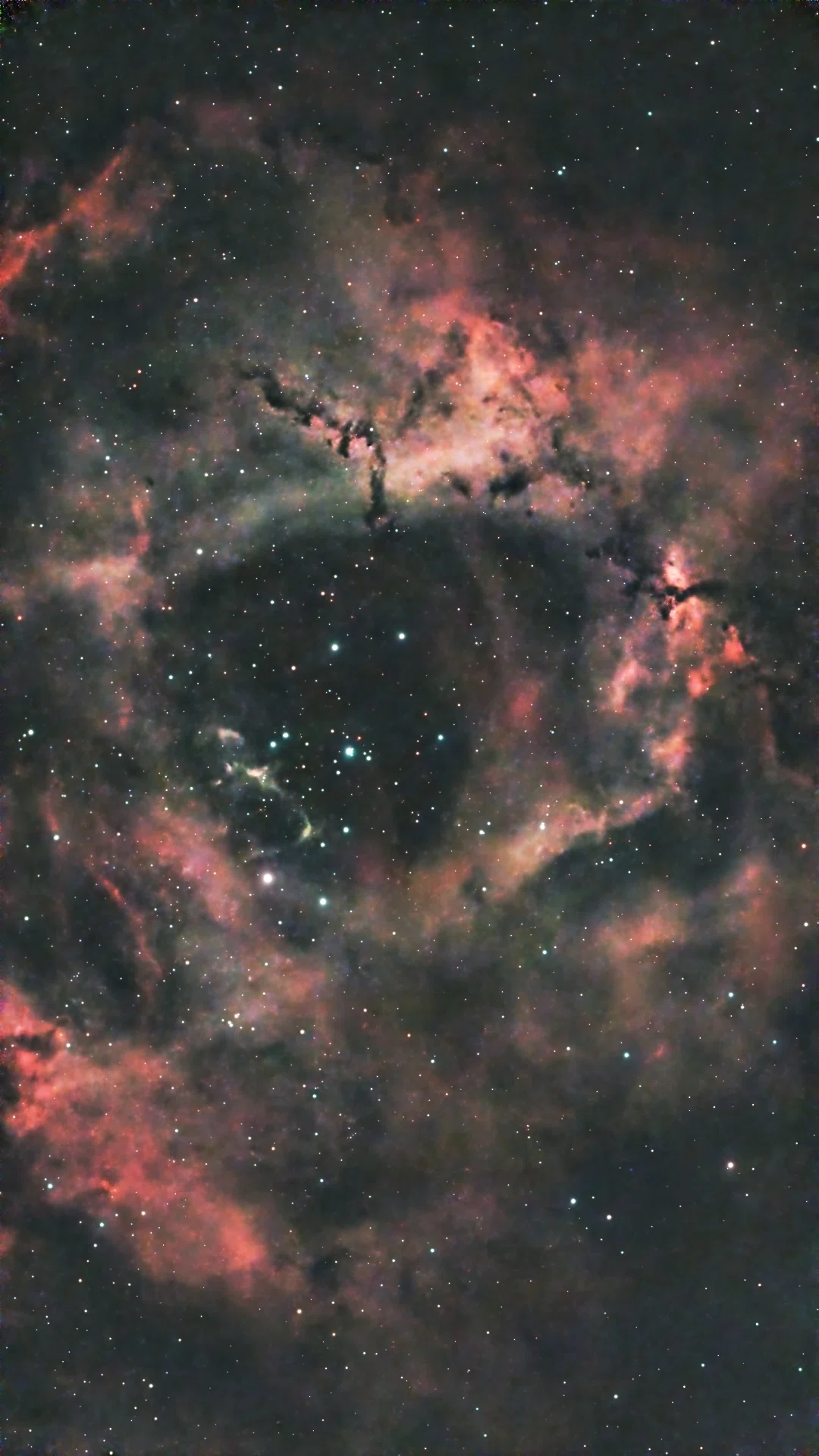 Rosette Nebula/ばら星雲｜ゴンカネ