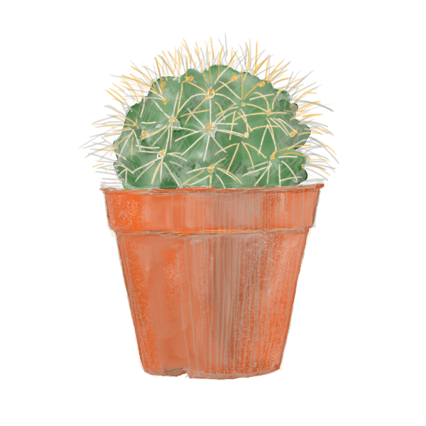 スケッチ27日目「サボテン」｜㌰㌿