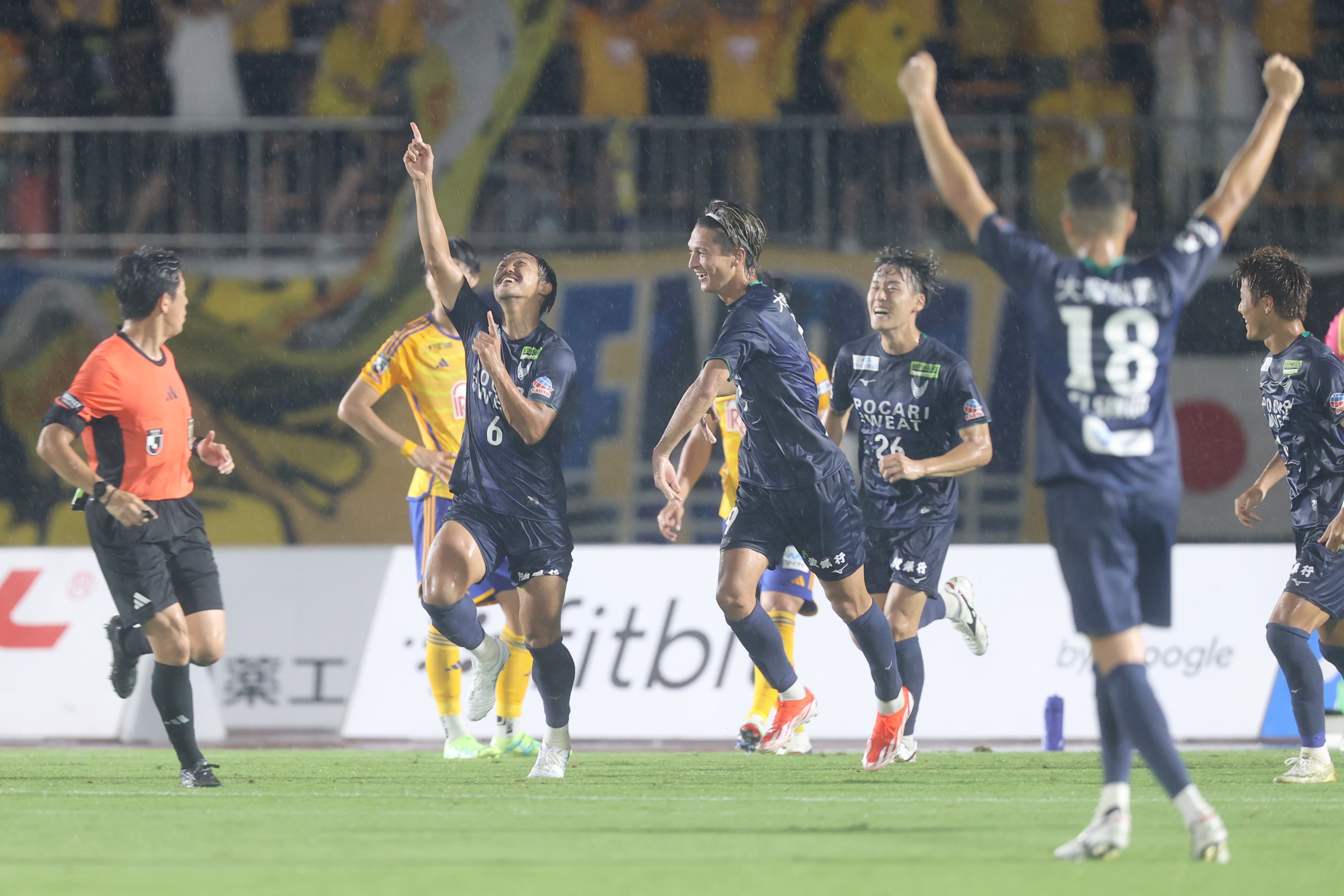 Jリーグ スポーツ Jリーグ フェアプレーフラッグ 2010年 徳島