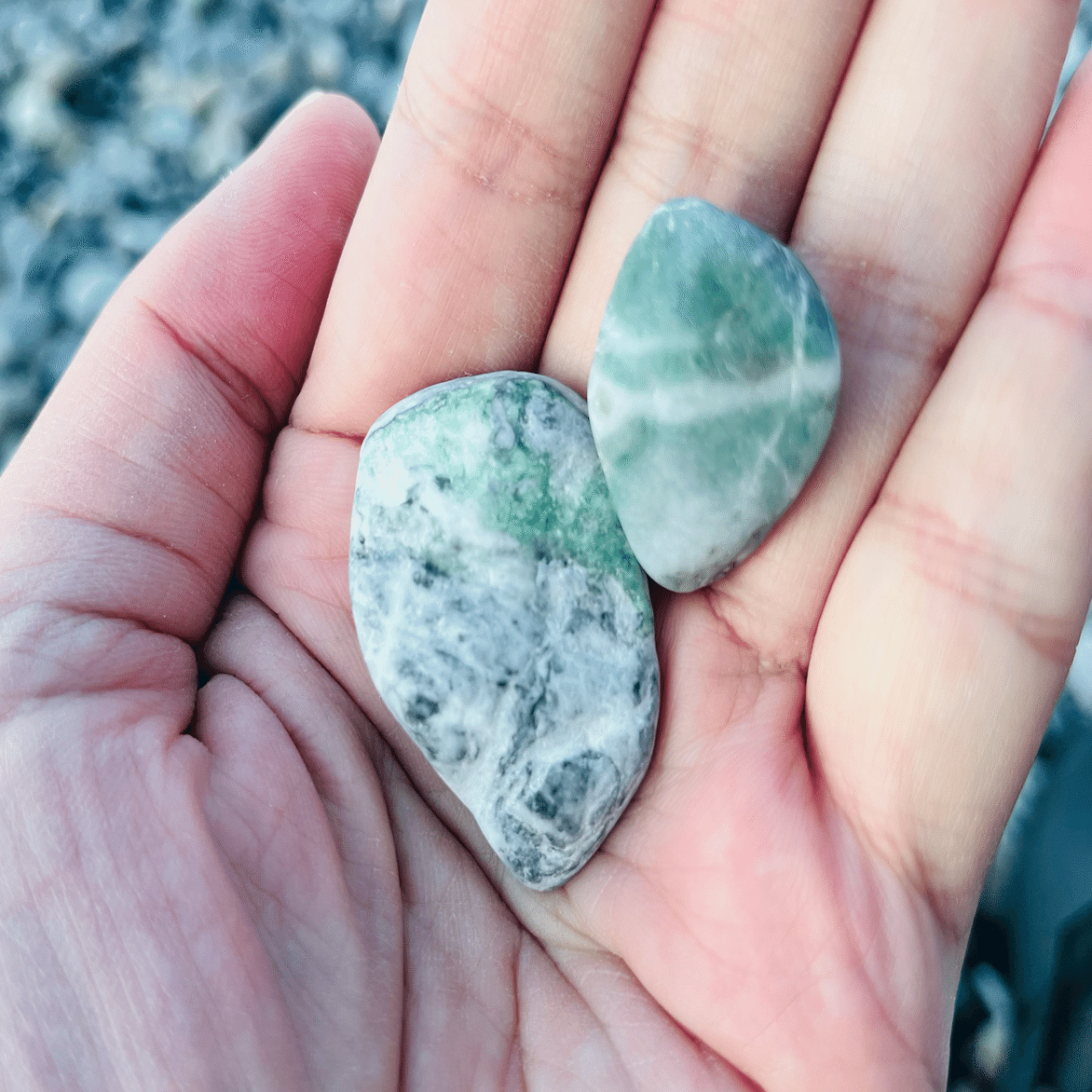 同じ時間に同じ浜にいても、拾える人と拾えない人がいるのはなぜだ