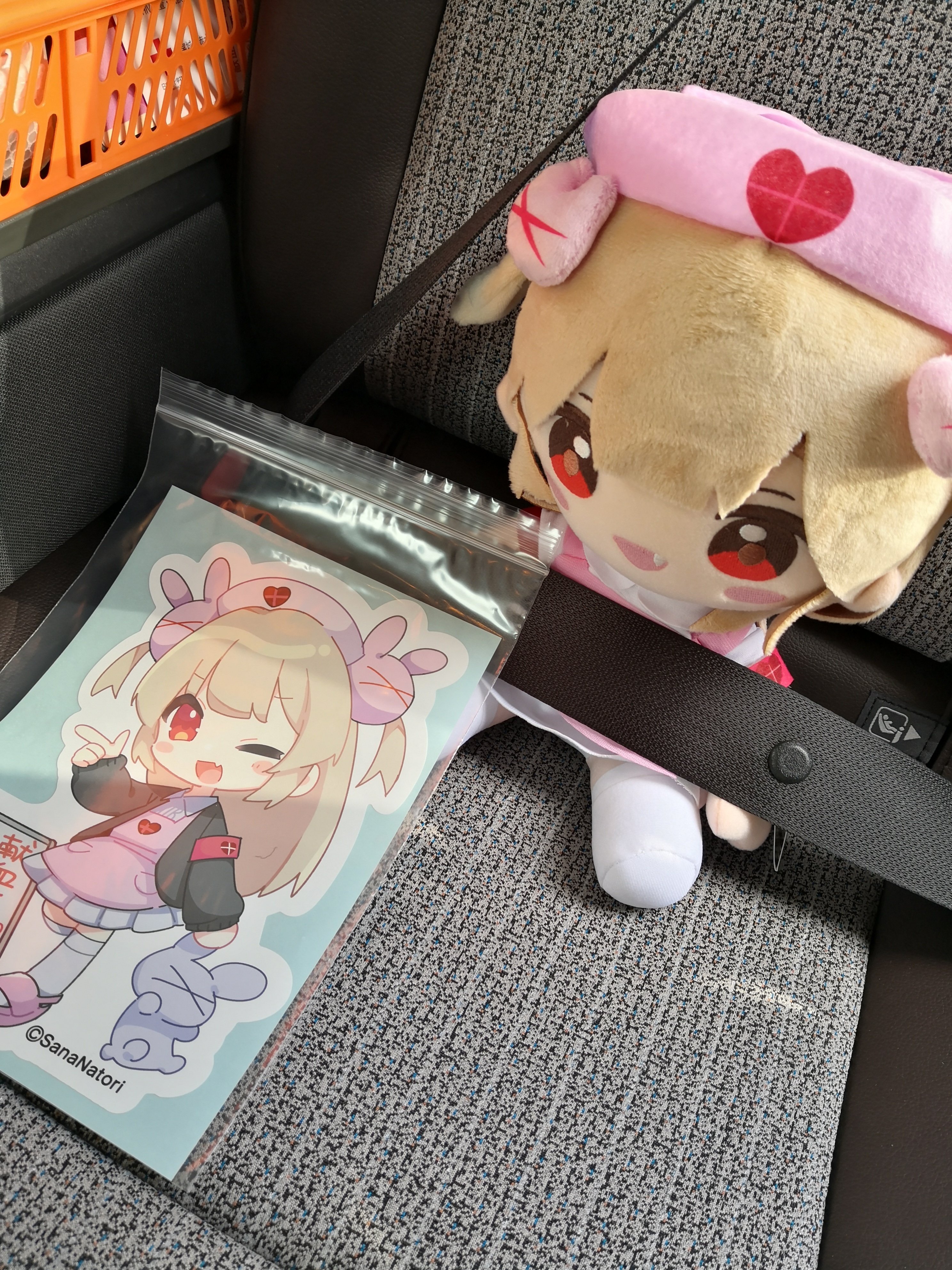 さなぬいとのおでかけ記録｜temote