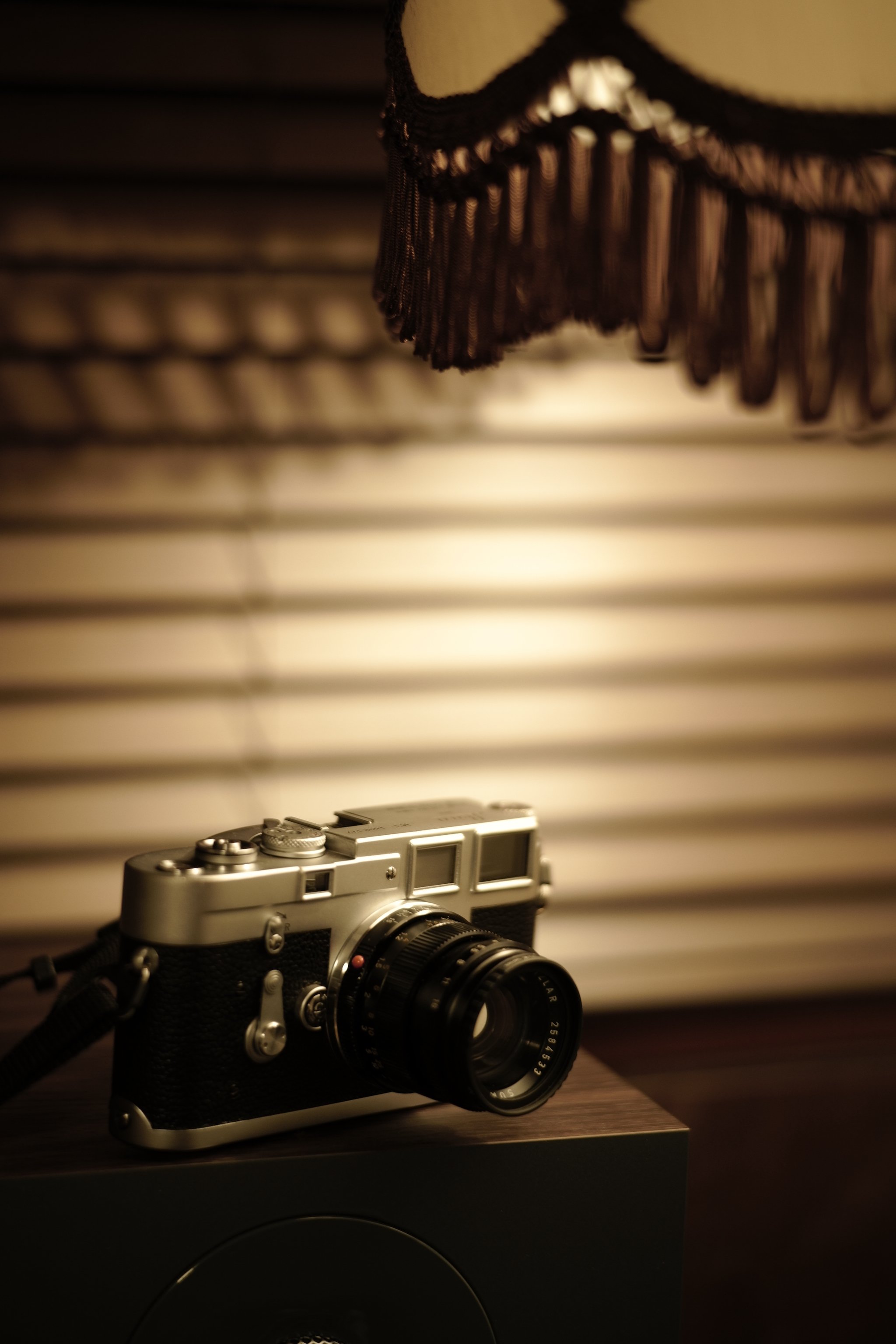 Leica M3をお迎え。1本目のフィルム｜飯田有抄