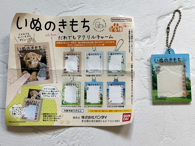 いぬのきもち」「ねこのきもち」アクリルチャームに合うサイズの