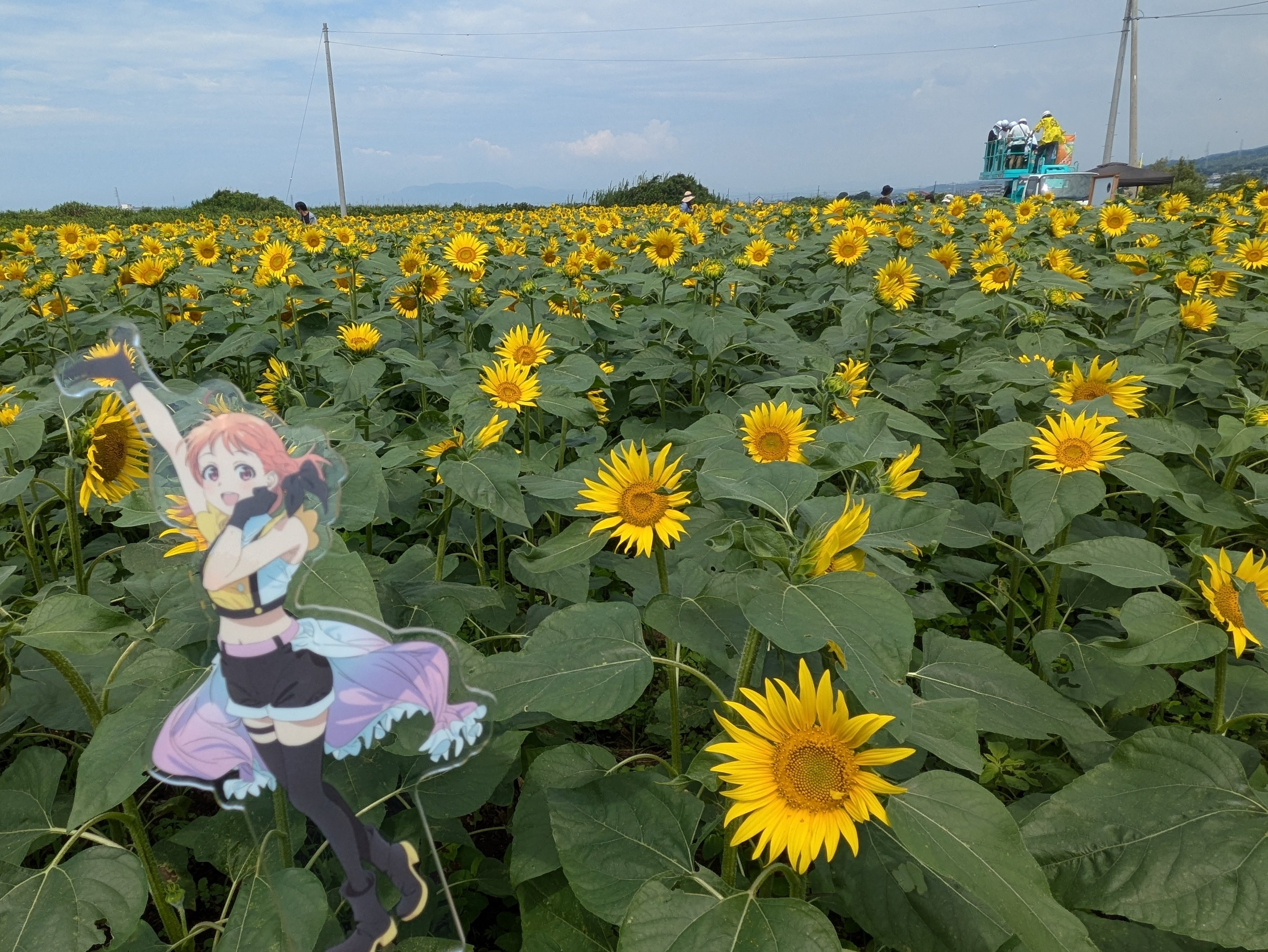 Aqoursと歩んだ”永久”にしたい夏 【狩野川花火/千歌誕沼津】｜中井みこと