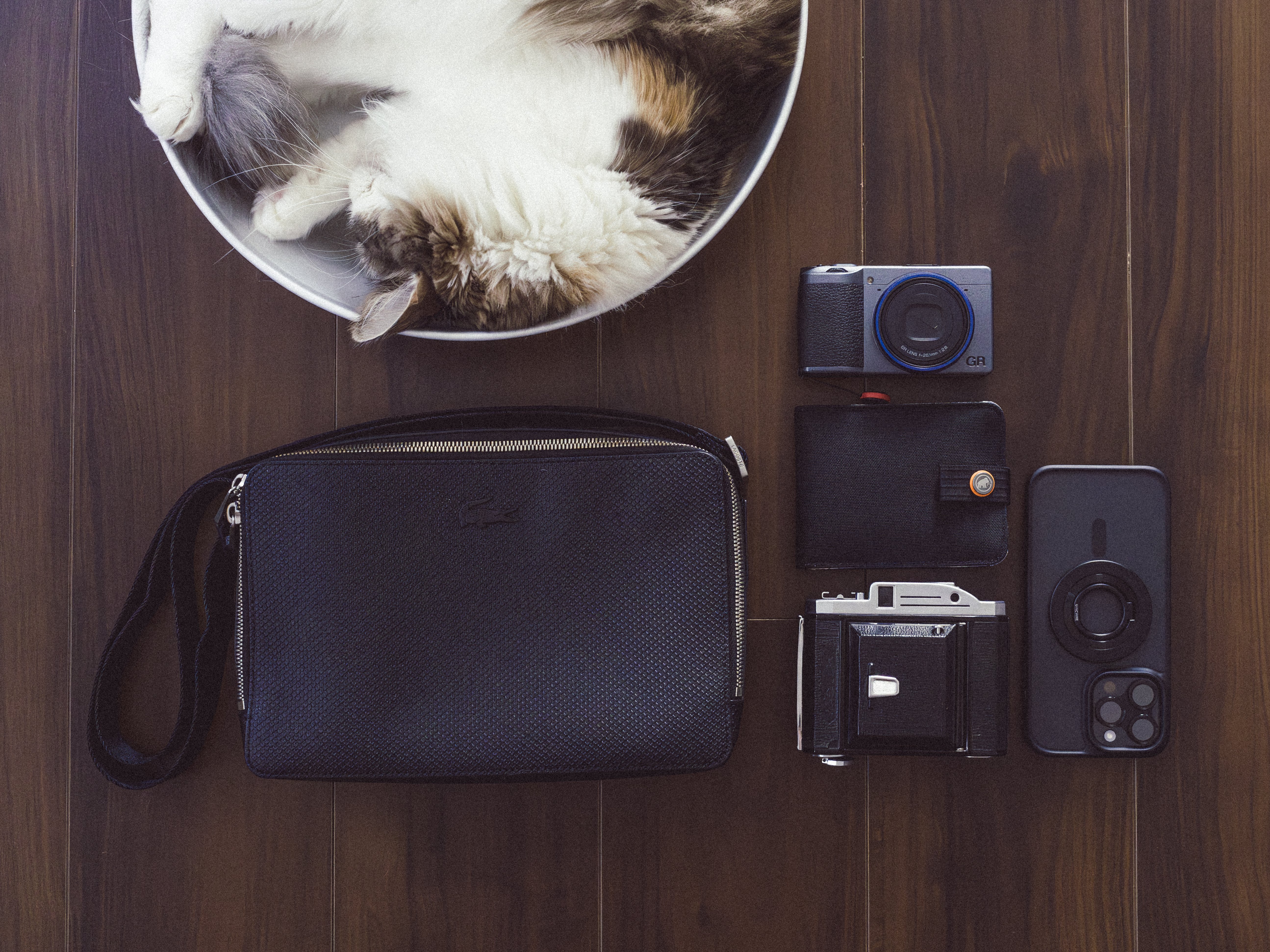 小西六 Konica Pearl II Hexar 75/4.5- 旅行用、散歩用に 小西六 Konica Pearl II Hexar 75/4.5- 旅行用、散歩用に