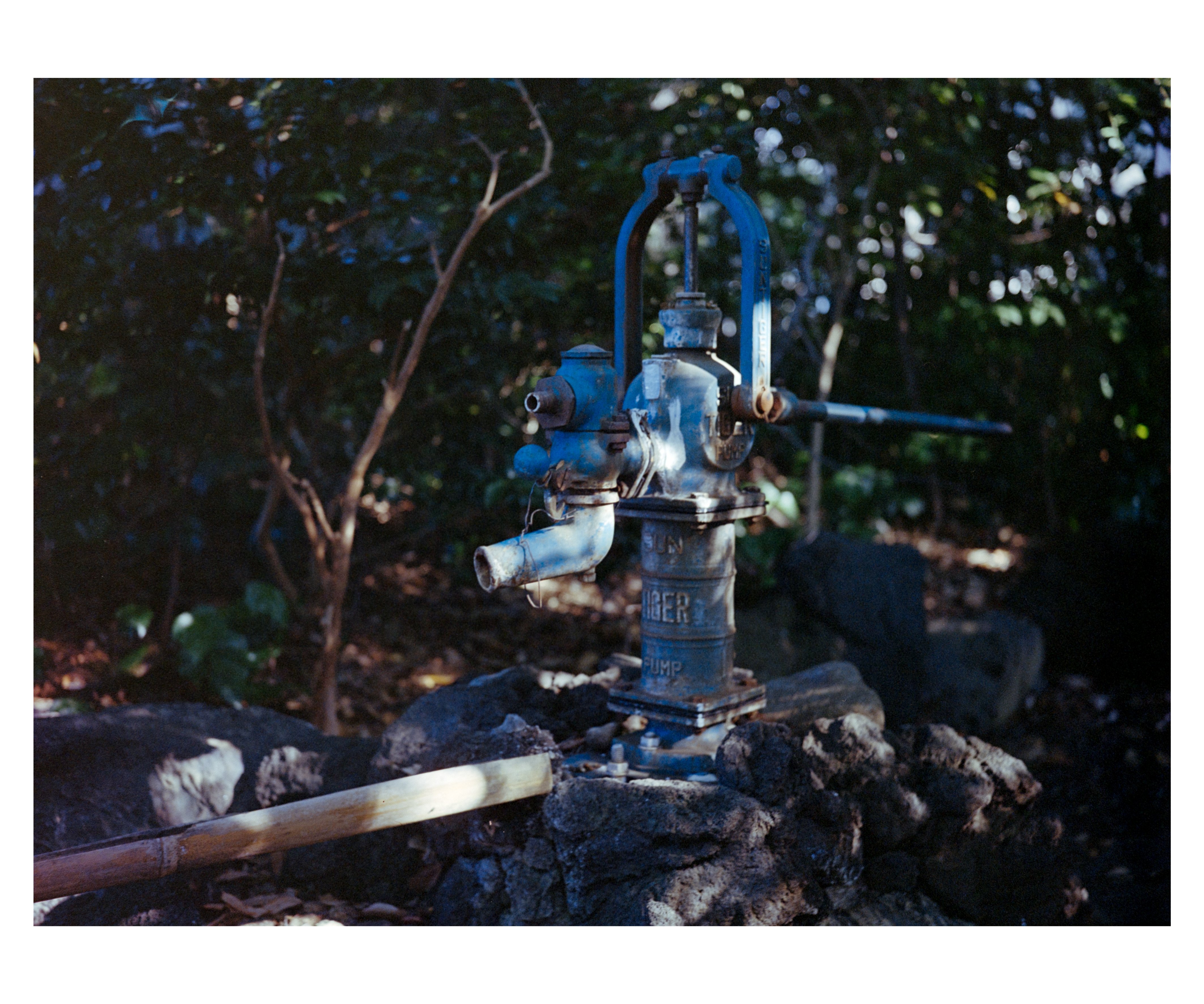 小西六 Konica Pearl II Hexar 75/4.5- 旅行用、散歩用に