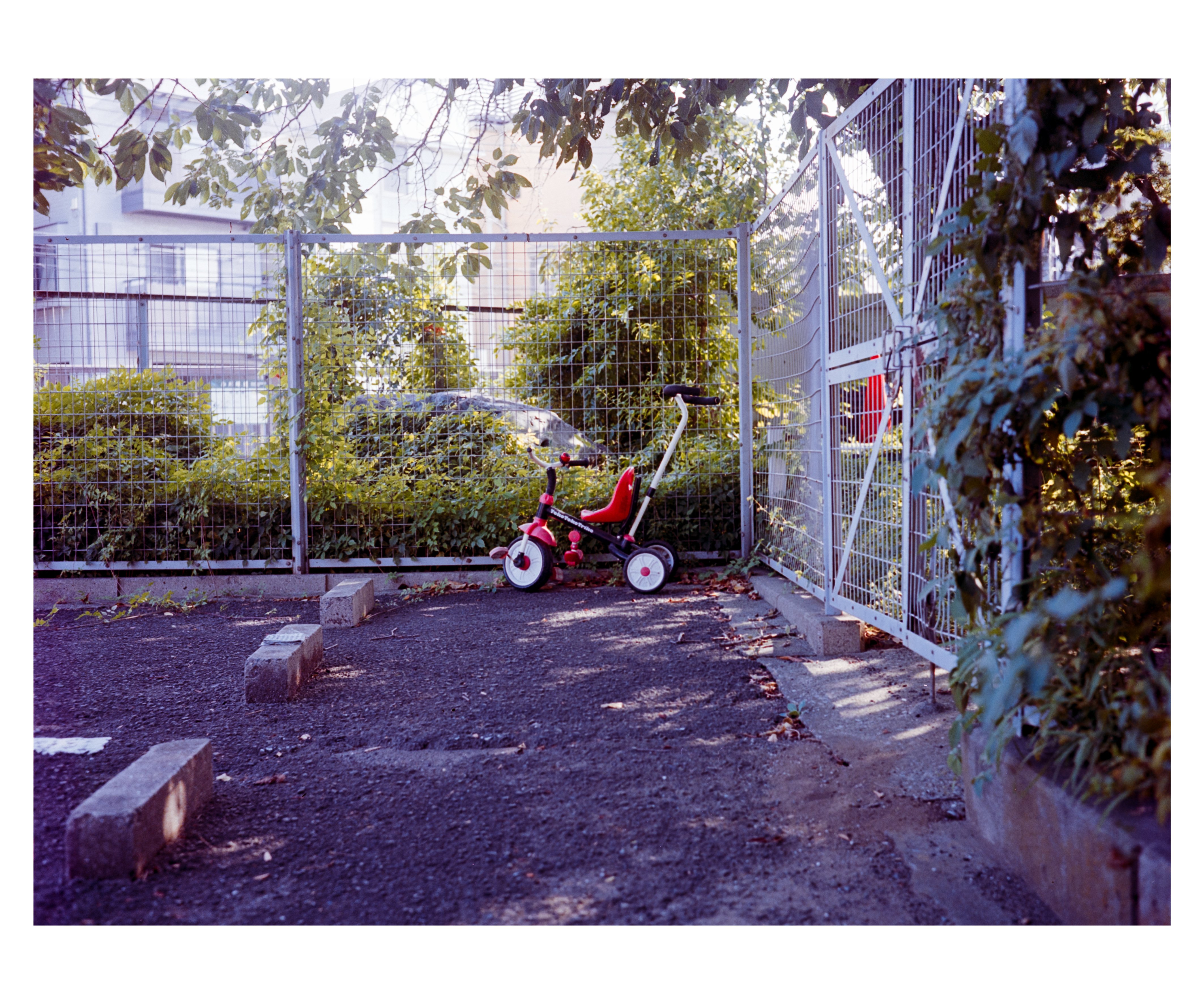 小西六 Konica Pearl II Hexar 75/4.5- 旅行用、散歩用に