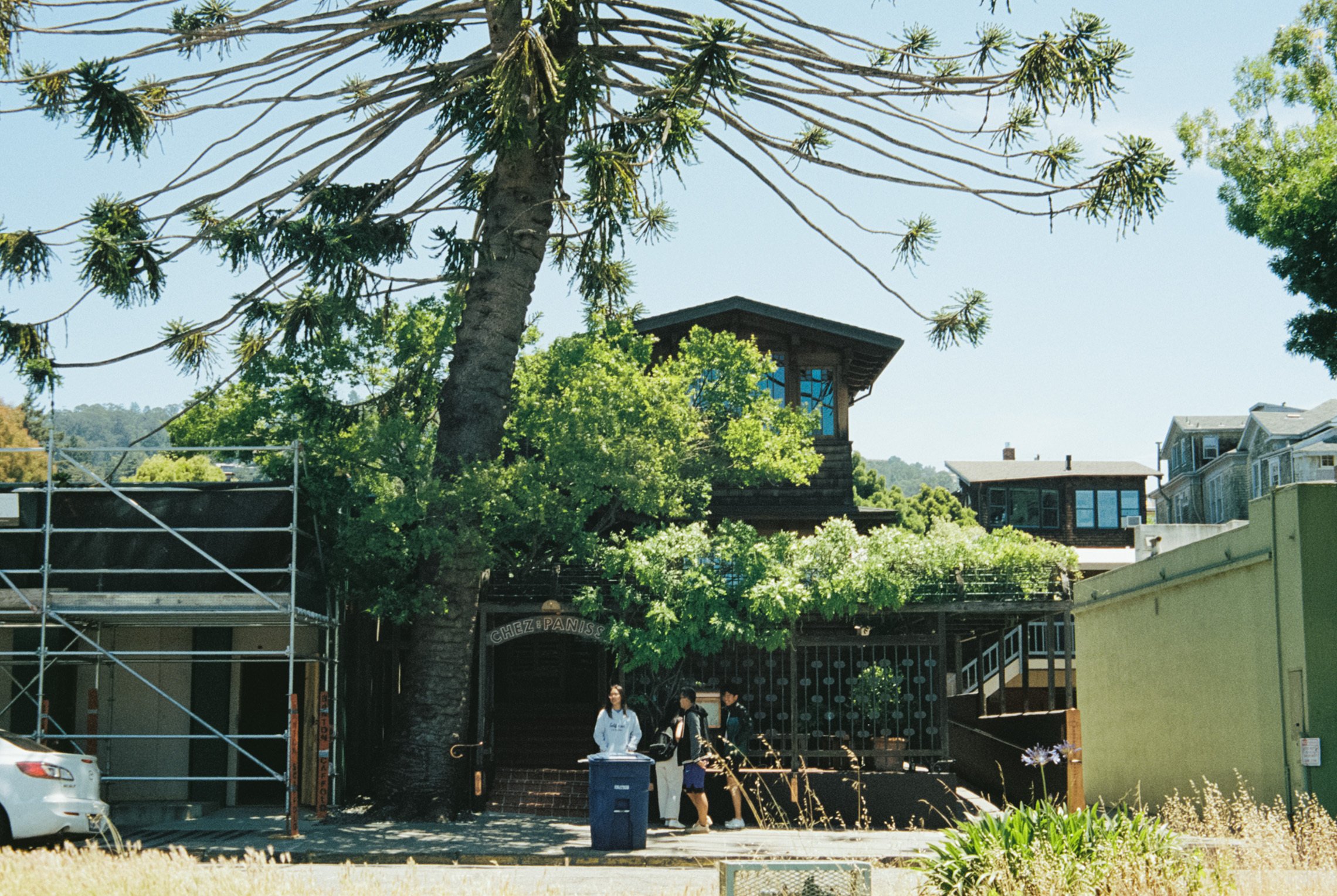 憧れの「シェ・パニース」を訪れて号泣した話｜小川紗良の自由帳