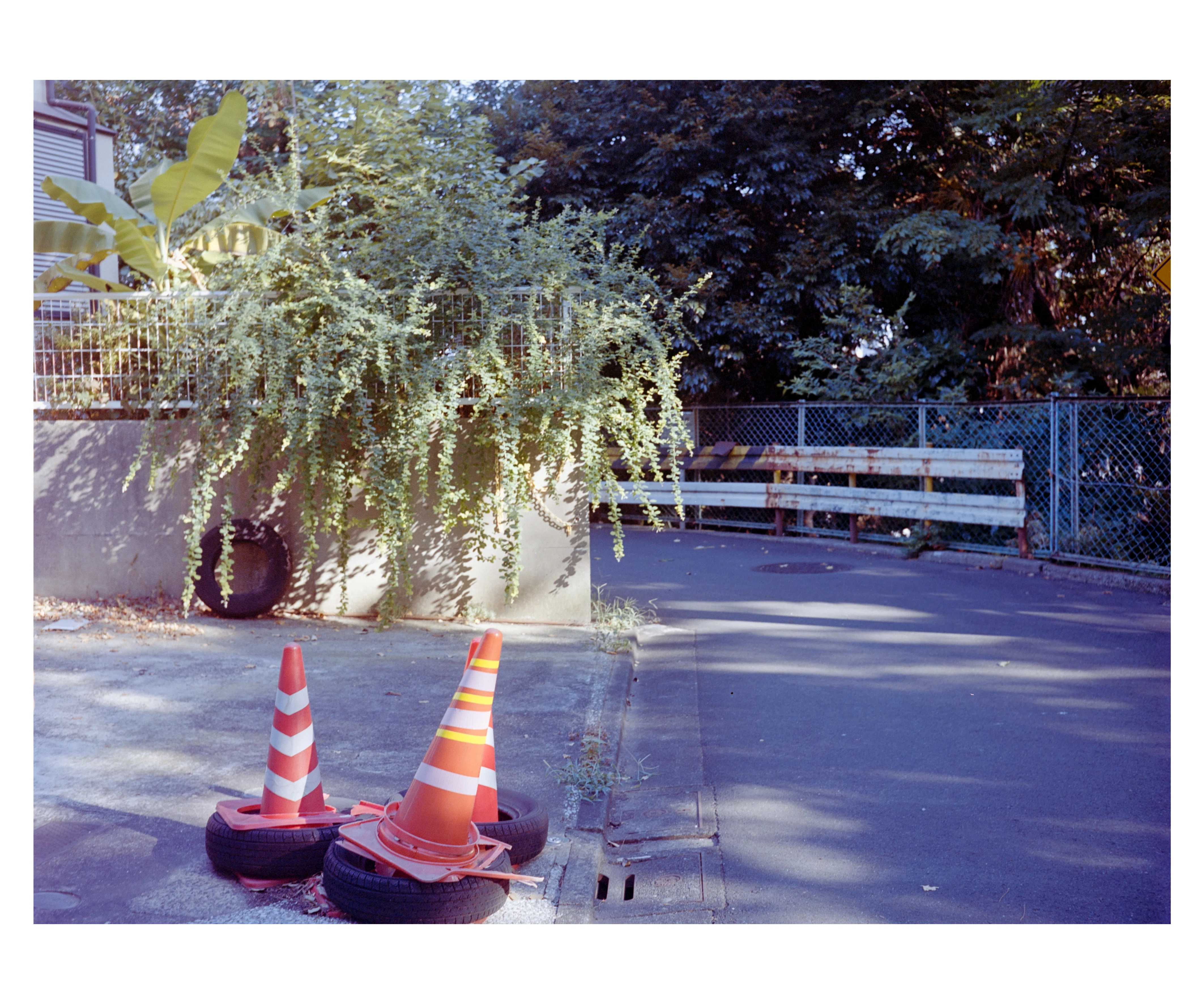 小西六 Konica Pearl II Hexar 75/4.5- 旅行用、散歩用におすすめの中