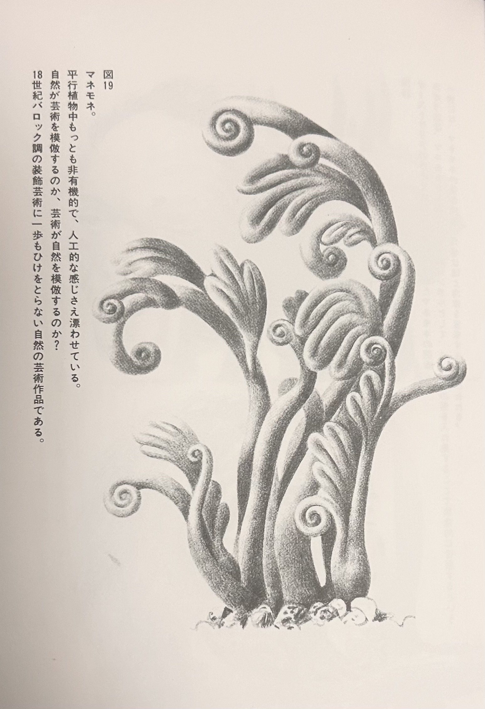 平行植物 レオ・レオーニ 【希少】元版セット 工作舎 平行植物』新装版