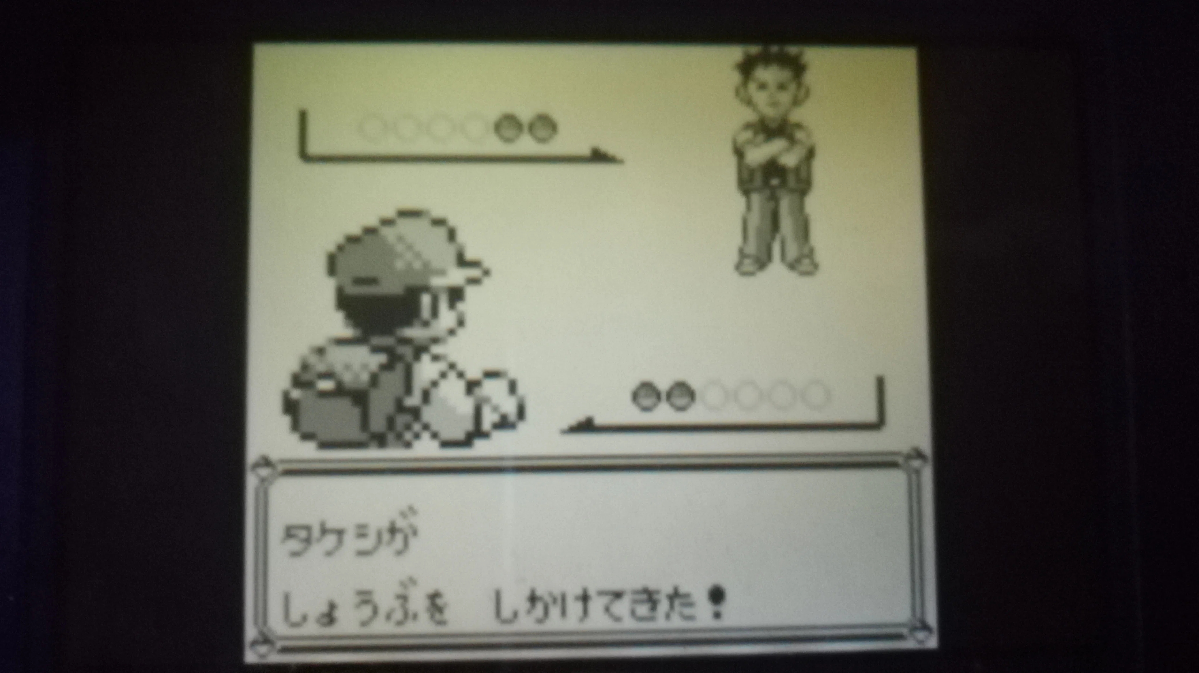 ポケモン全国行脚の旅日記 ピカチュウ版＃2｜瀧