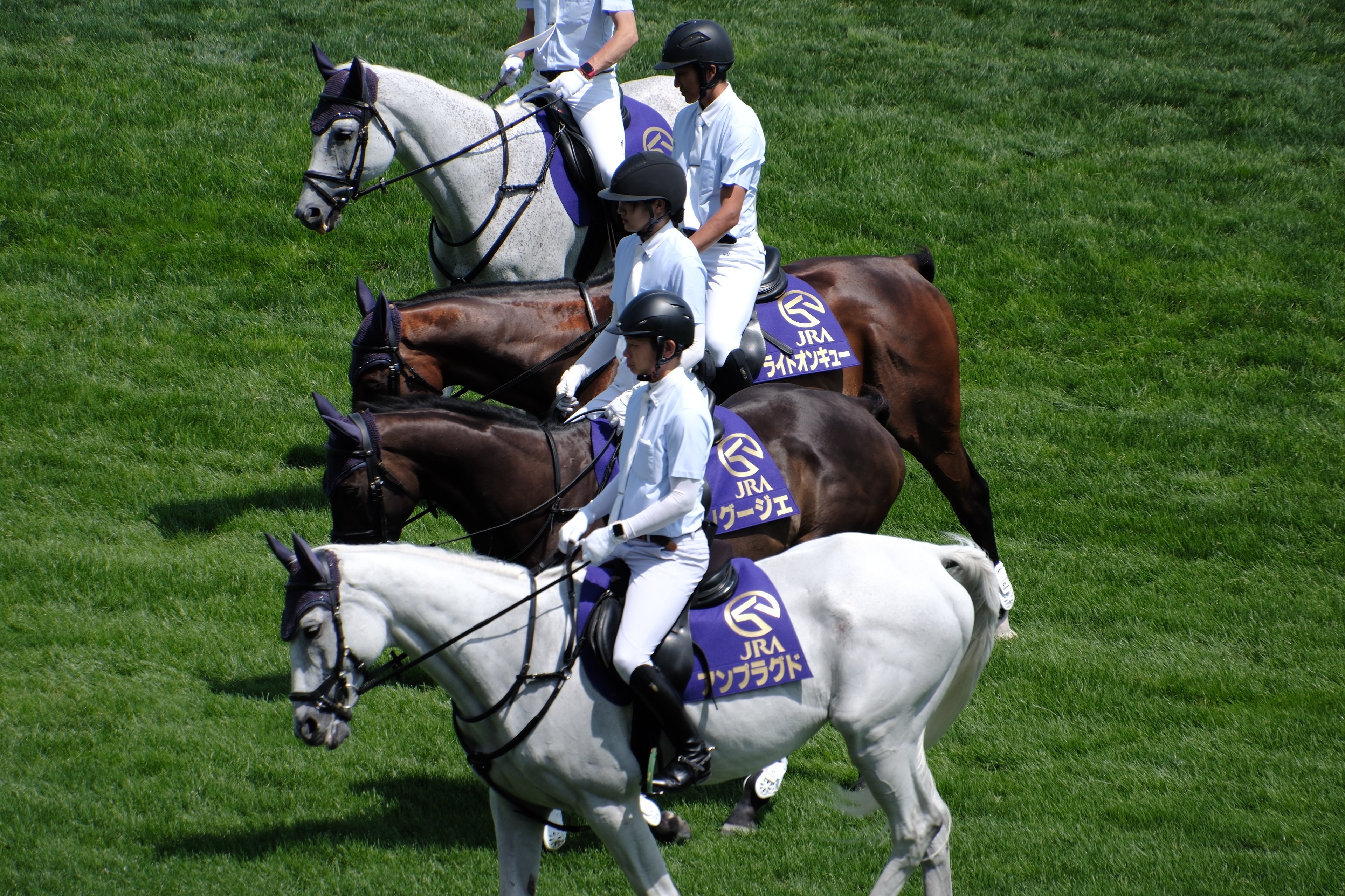 X-T5】競走馬を撮る～AF性能は向上したのか？｜No.54