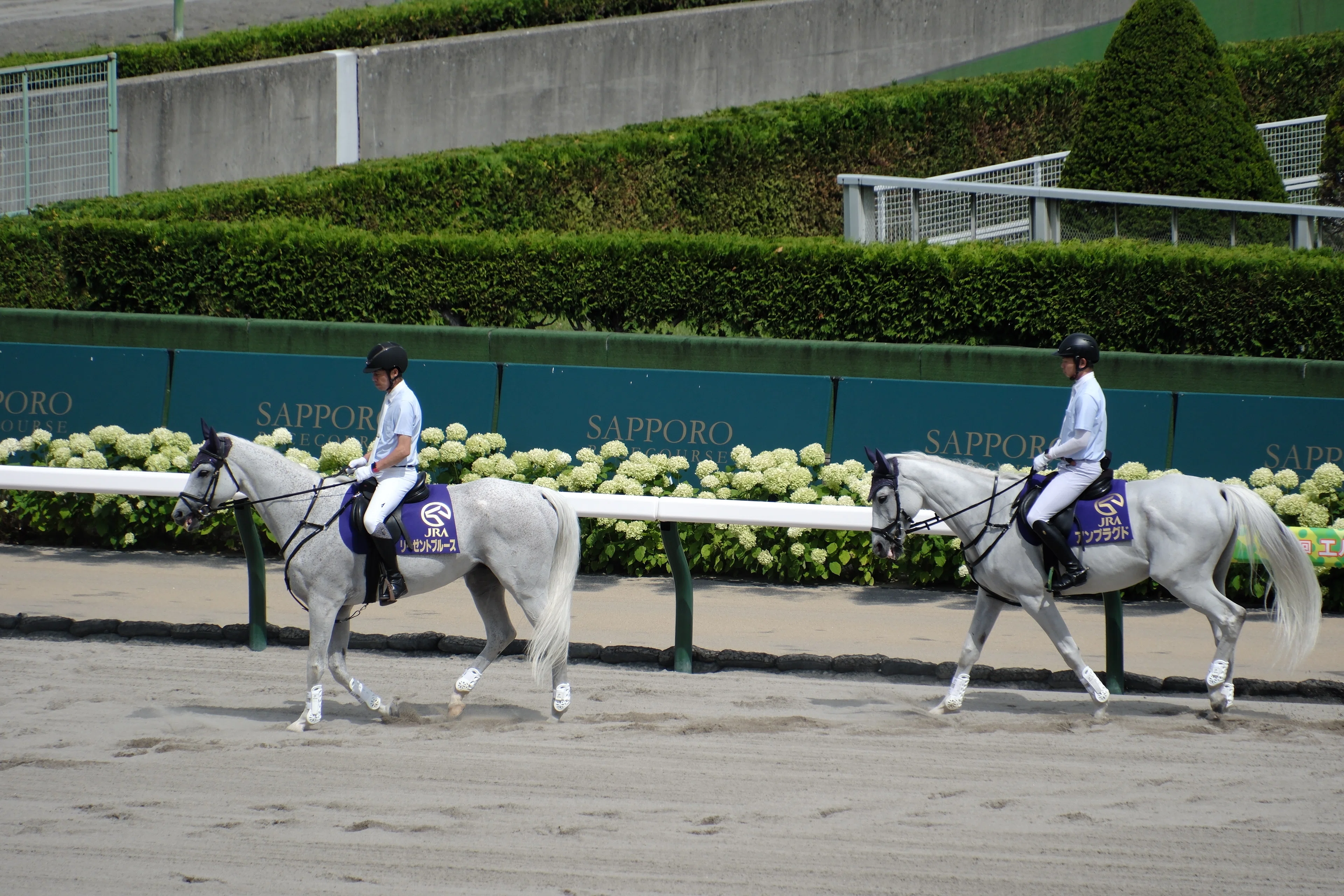 X-T5】競走馬を撮る～AF性能は向上したのか？｜No.54