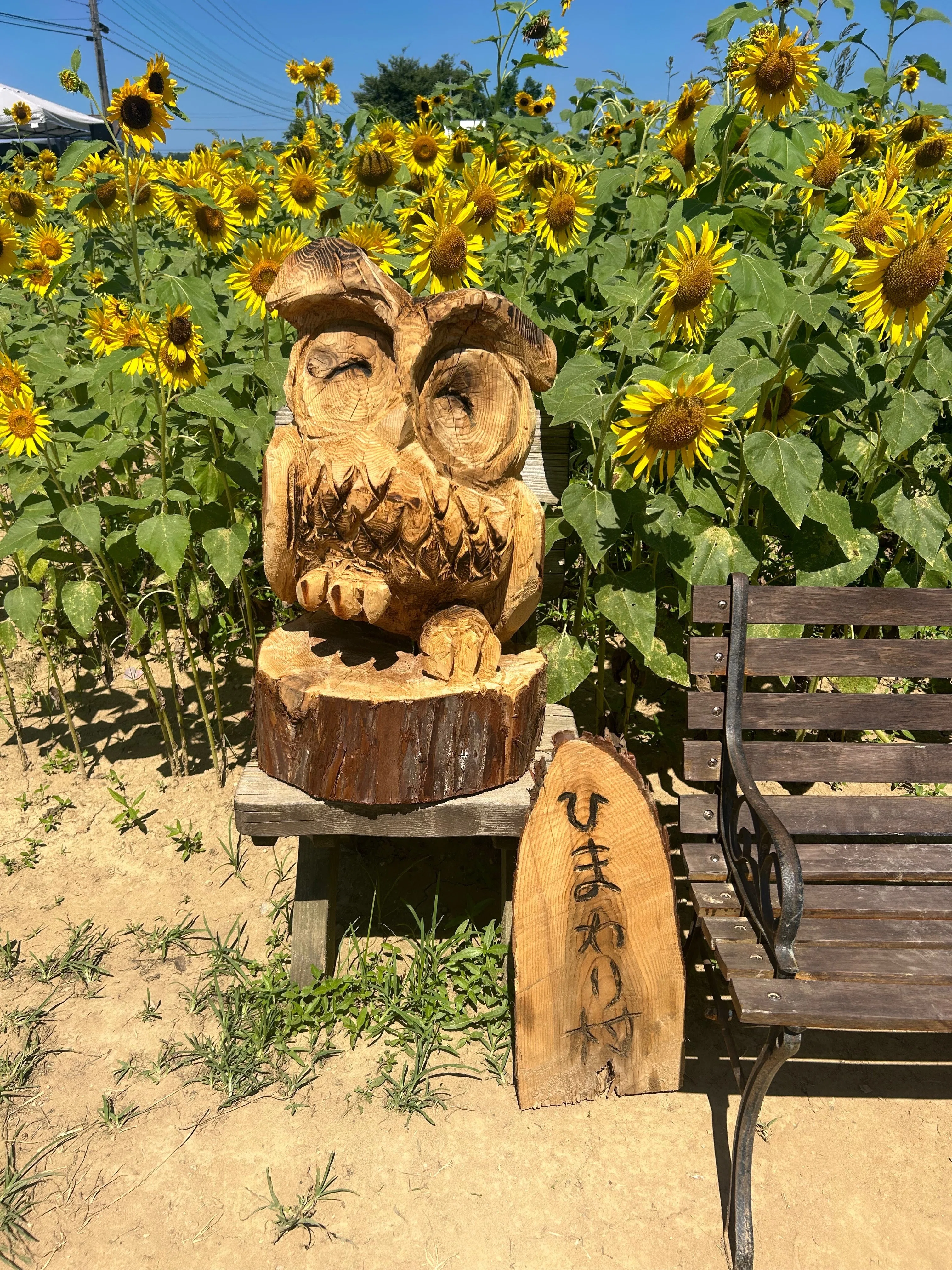 家族】河北潟 ひまわりとウサギとソフトクリームと ｜たてちんミニマル