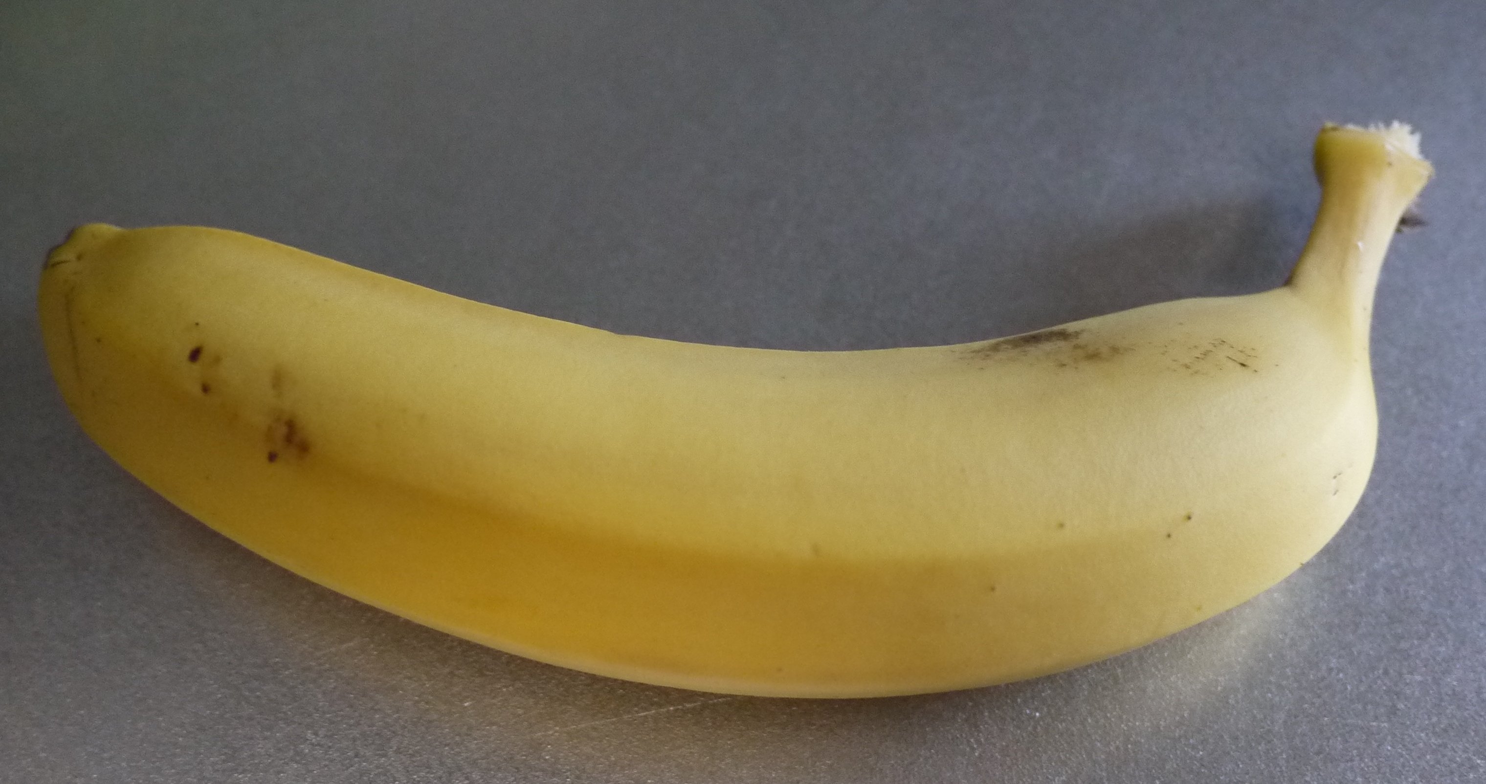 今日のバナナ 20240804｜3823