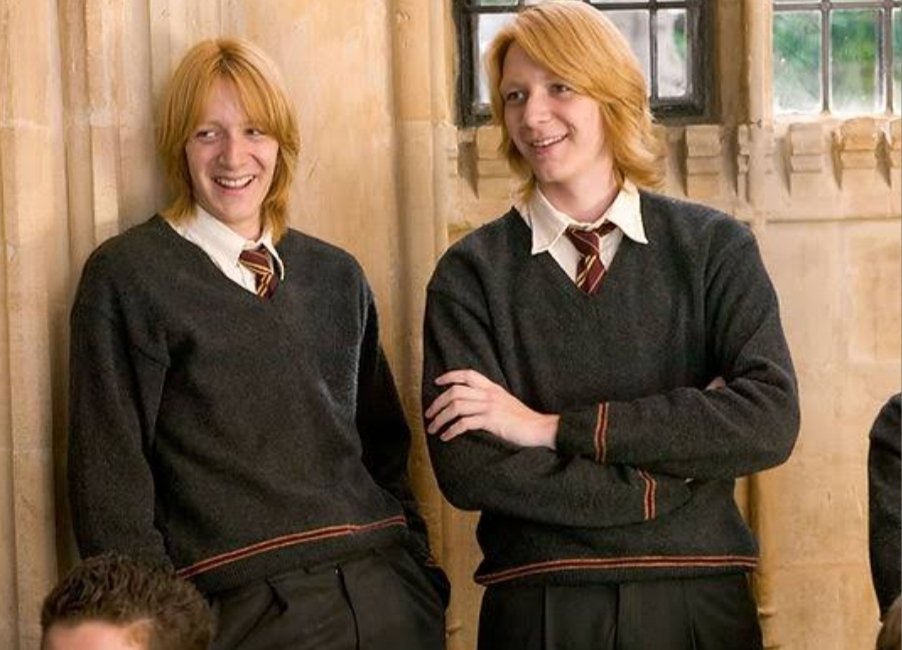 ハリー・ポッター フレッドとジョージの魅力✨｜ひまわり🌻