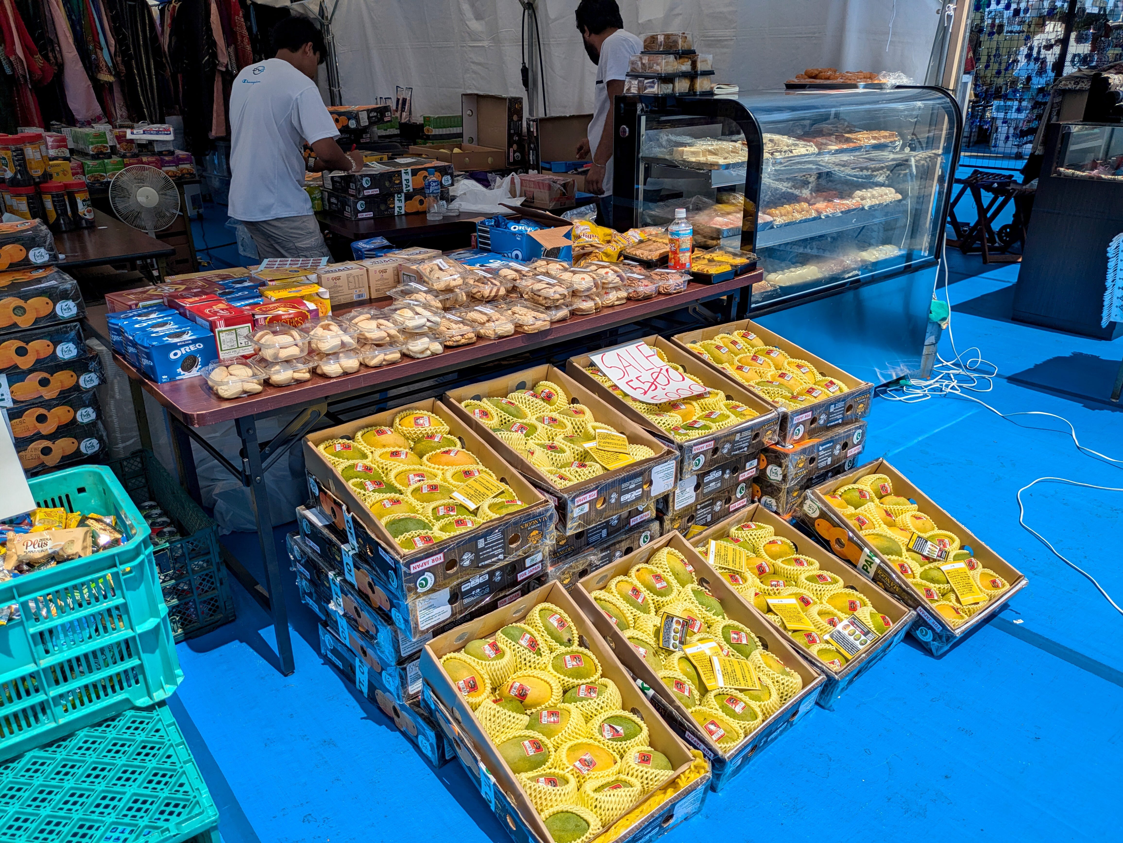 パキスタン日本友好フェスティバル2024へ行ったよ＠上野公園 噴水広場