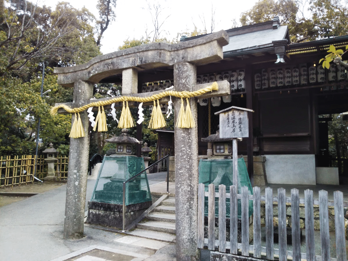 金運！そのまま祀れます。全国総本社 春日大社 祈祷済み お守り