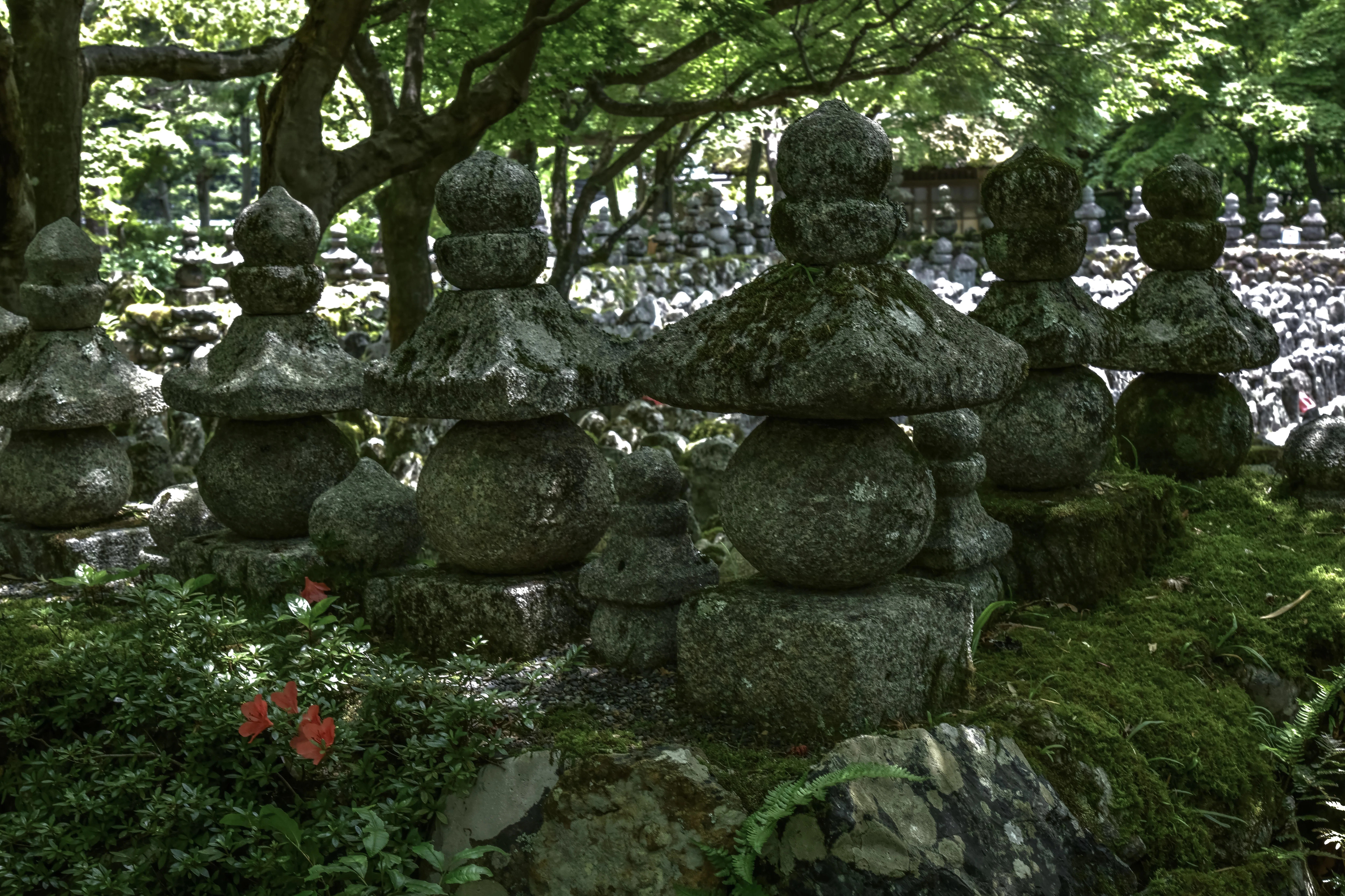 京都旅3日目②】あんこ奥嵯峨へ行く～化野念仏寺｜anne_co