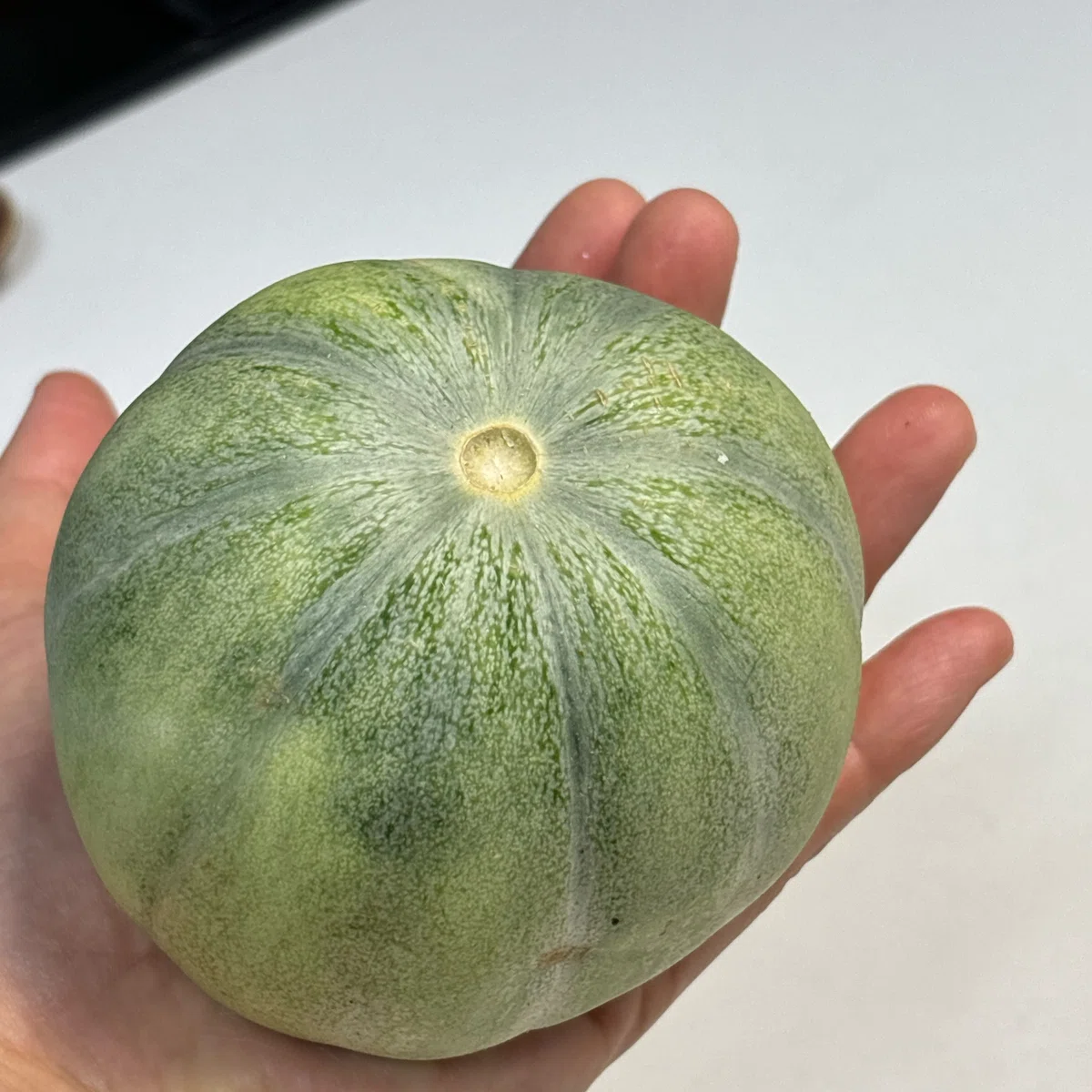 ウリが美味しい?もはやメロン！｜ゆめねこキッチン