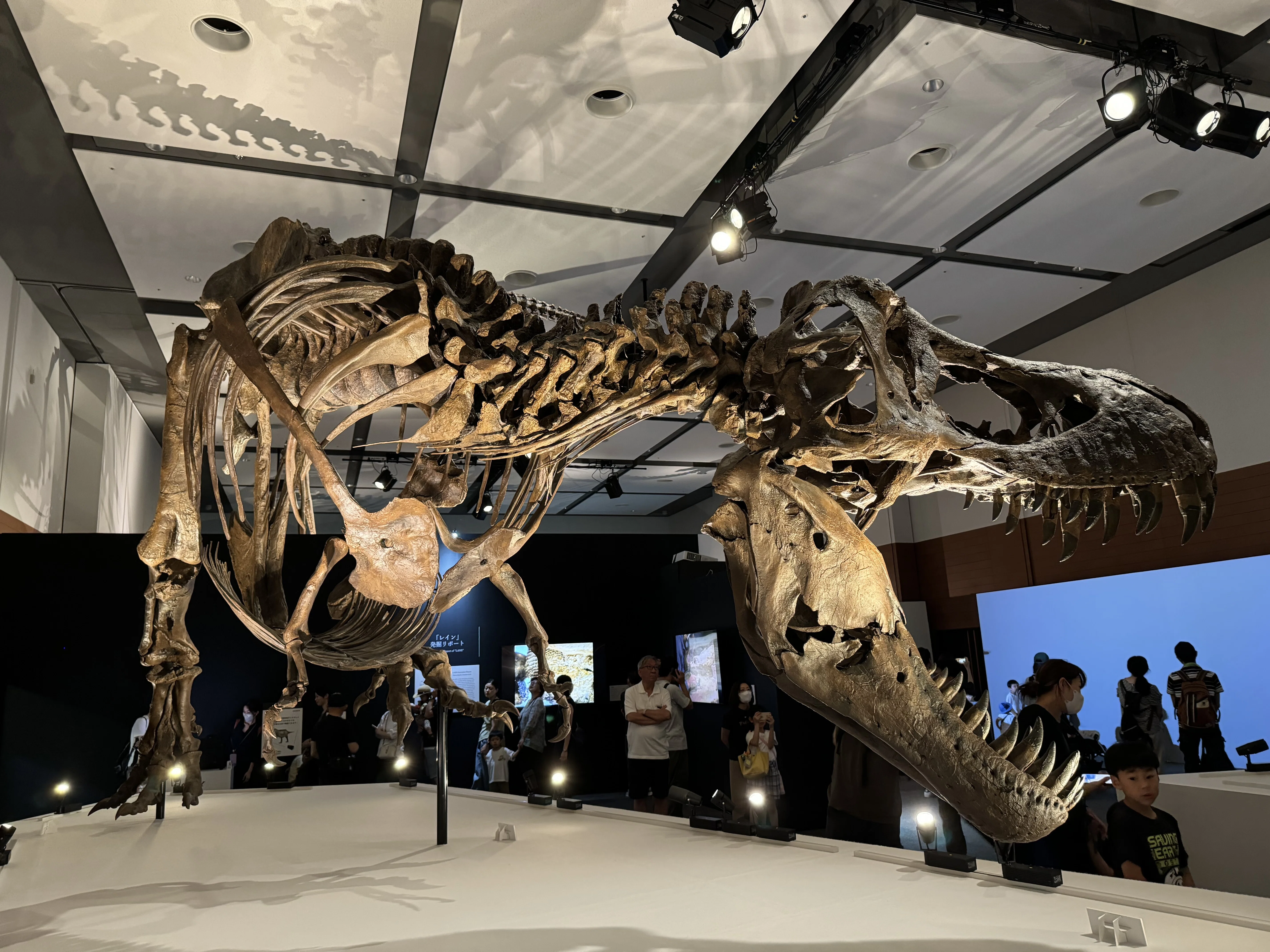 Dino Science恐竜博 ララミディア大陸の恐竜物語｜上野優介