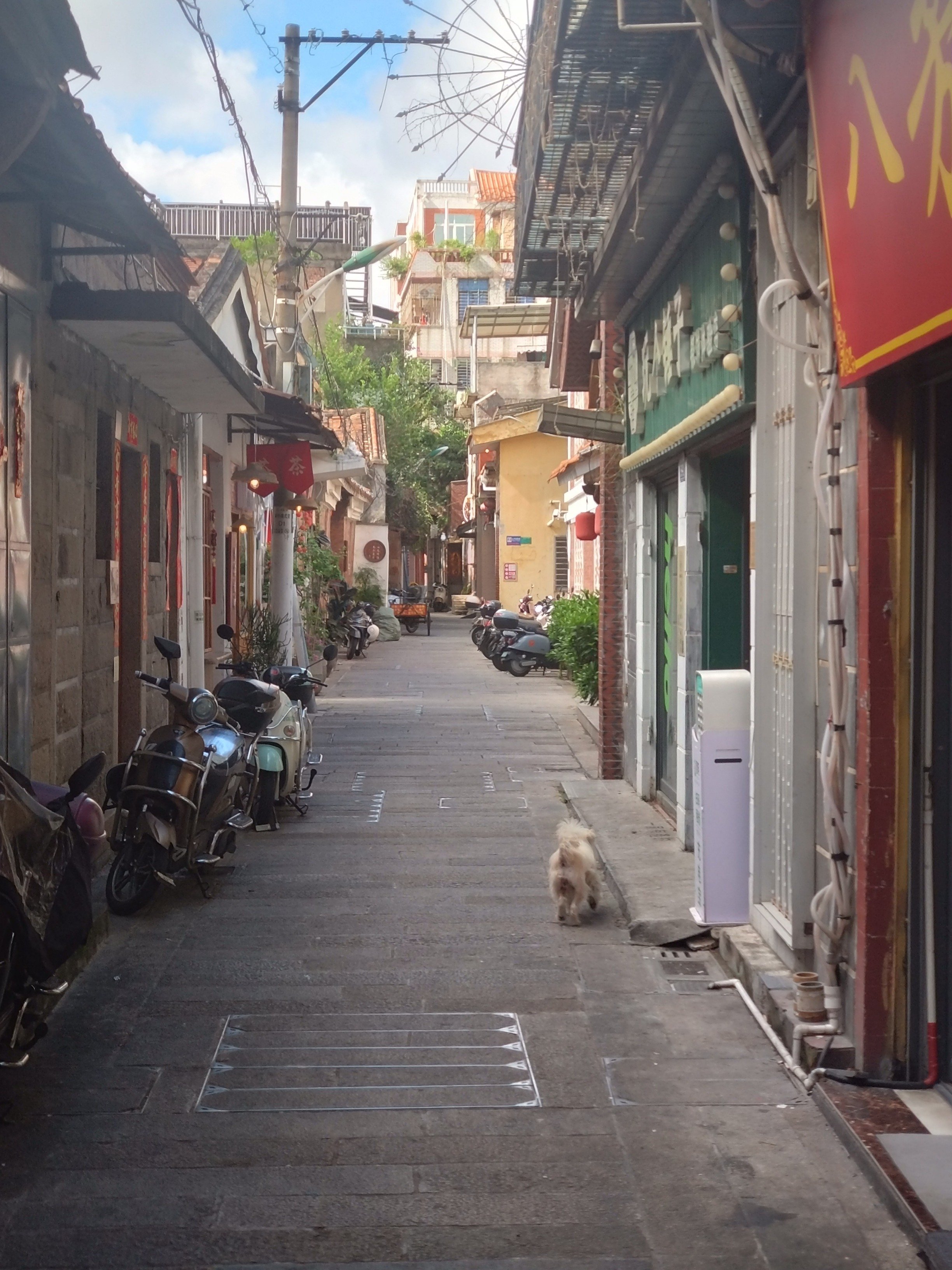 福建滞在メモ:閩南流・烏龍茶の飲み方｜もりちゃん