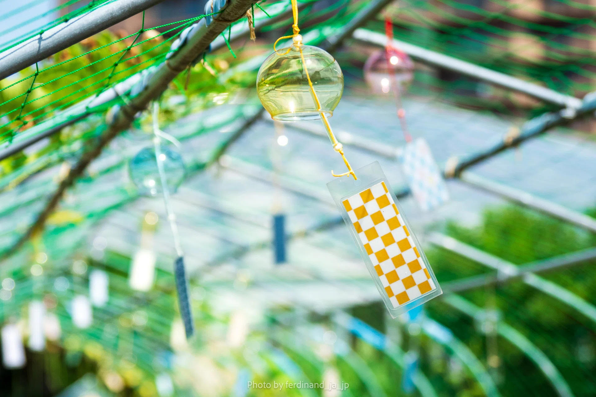 音に涼む|写信家 うみやま