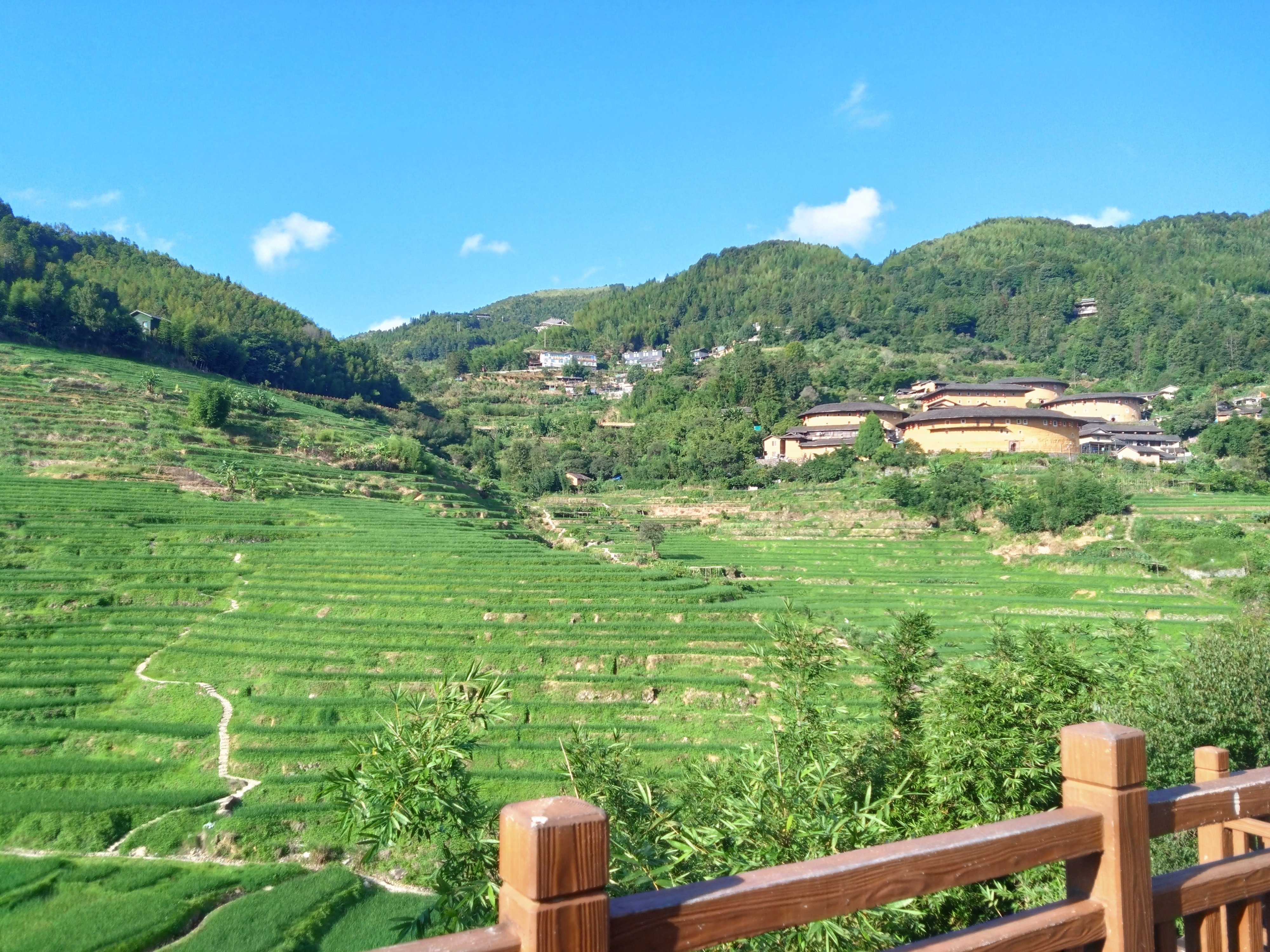 福建滞在メモ:閩南流・烏龍茶の飲み方｜もりちゃん