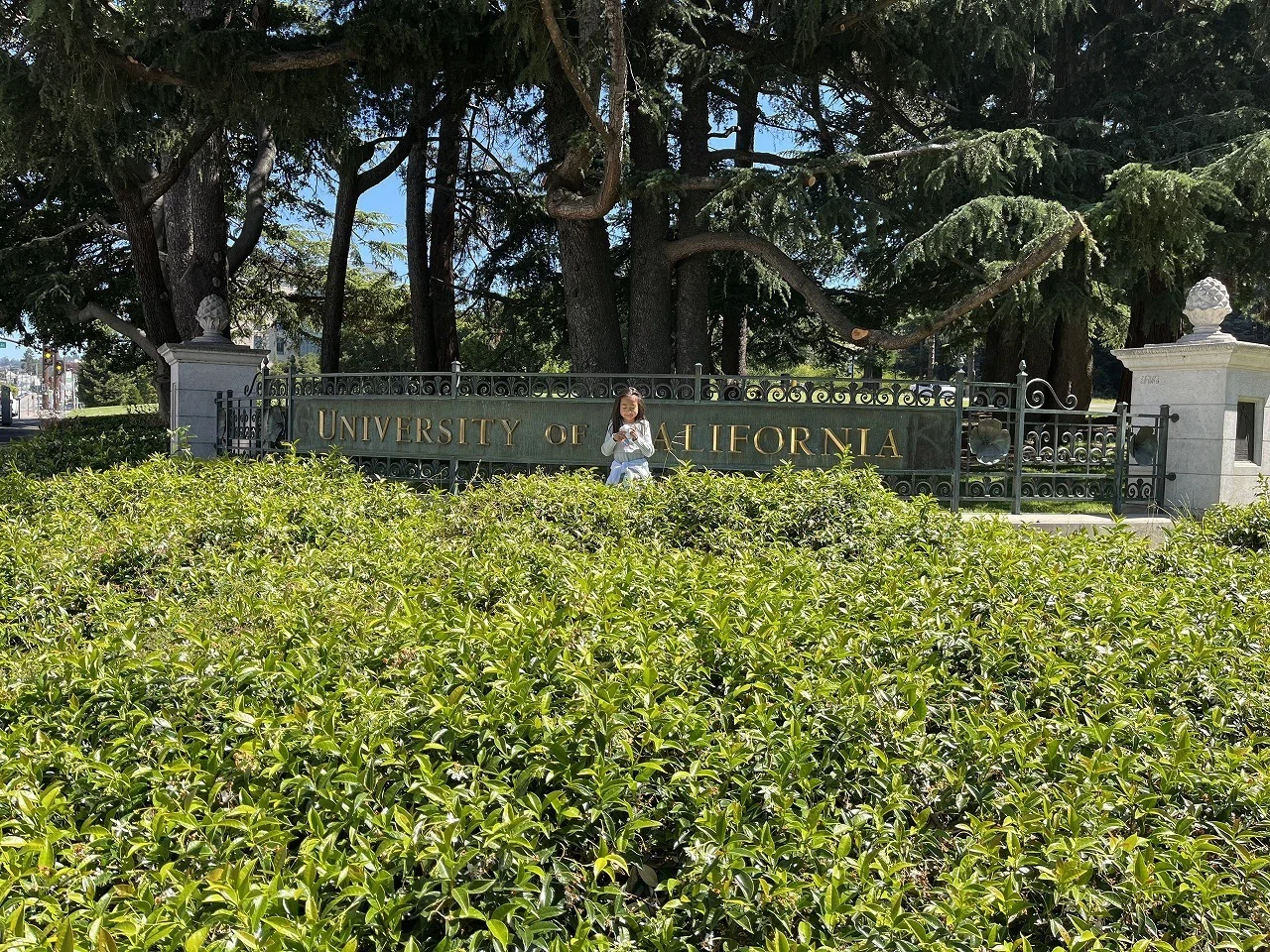 2024年カリフォルニアの旅 バークレー(Berkeley)編 ｜アートでハッピー