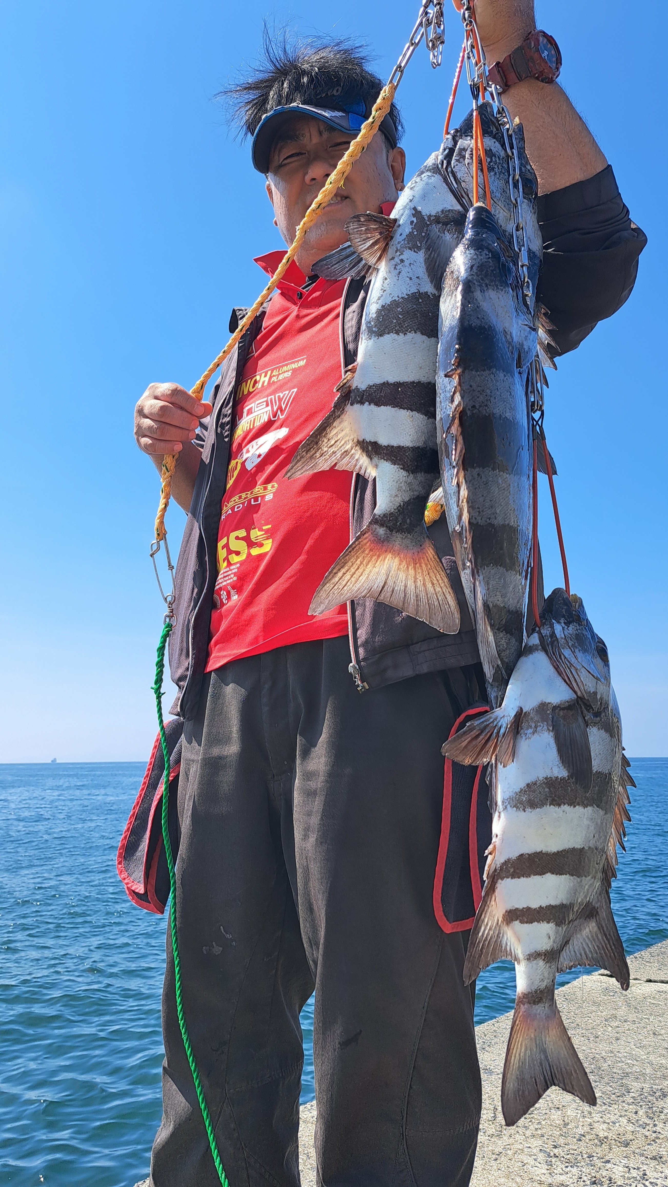 石鯛を追い求めてPart4（1242文字）｜ヤマト海