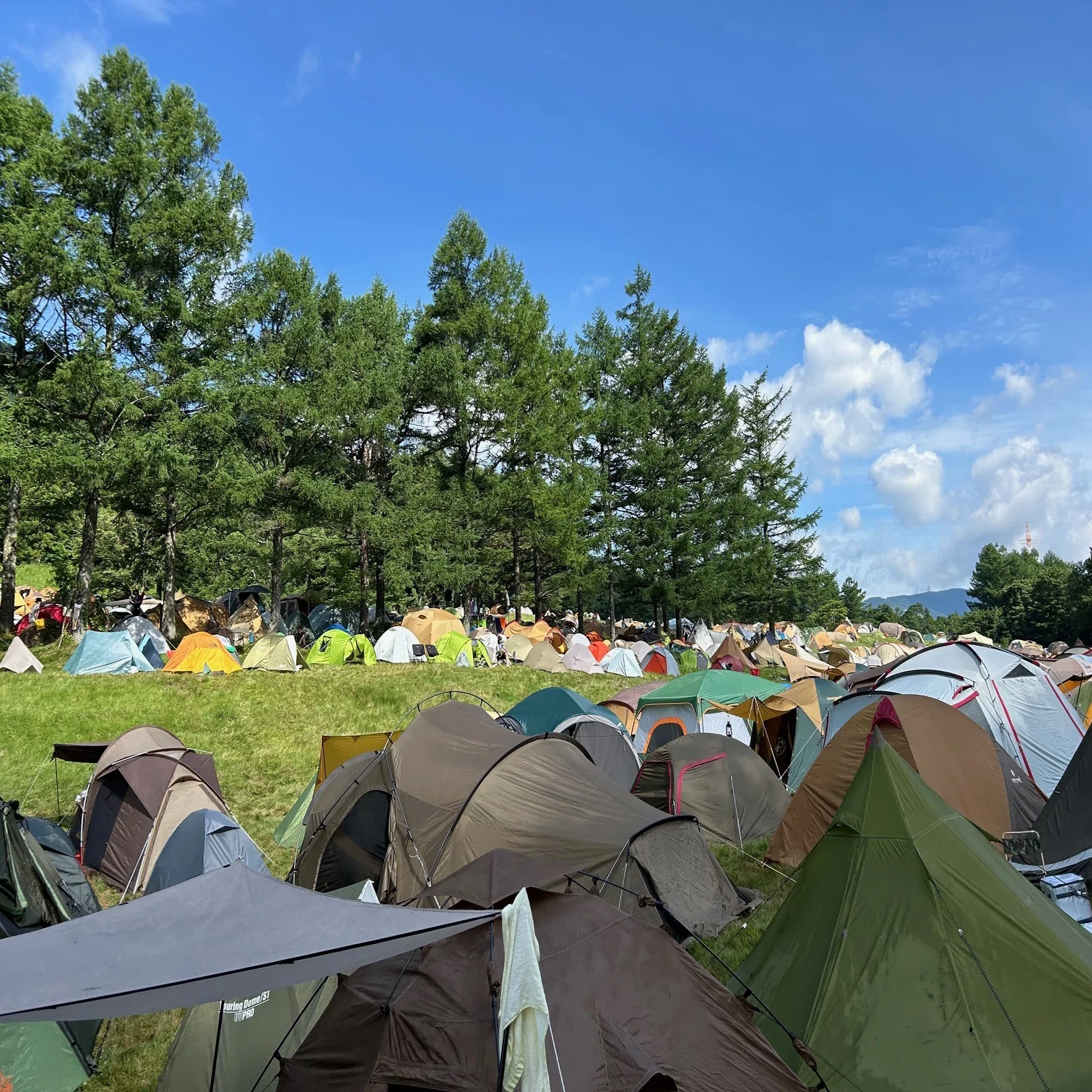 フジロックを理解、上海蟹の朝［FUJI ROCK FES