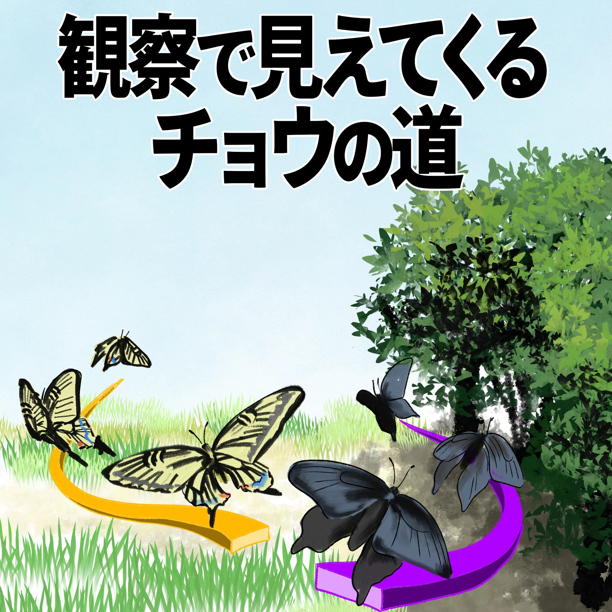 観察で見えてくるチョウの道｜くますけ｜自然ガイド・クリエイター