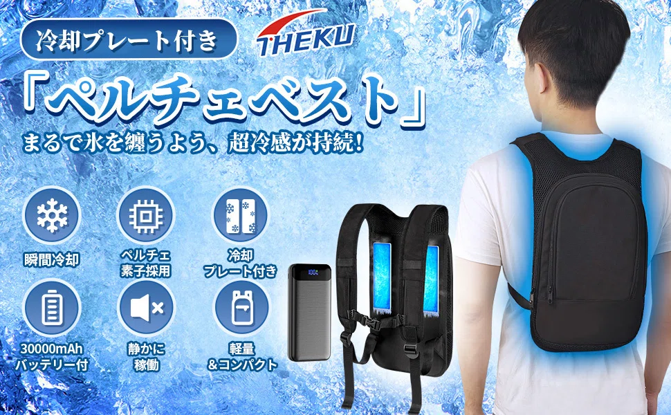 レビュー】THEKU ペルチェ ベスト【2024業界最強冷却＆2つ冷却ブレート 