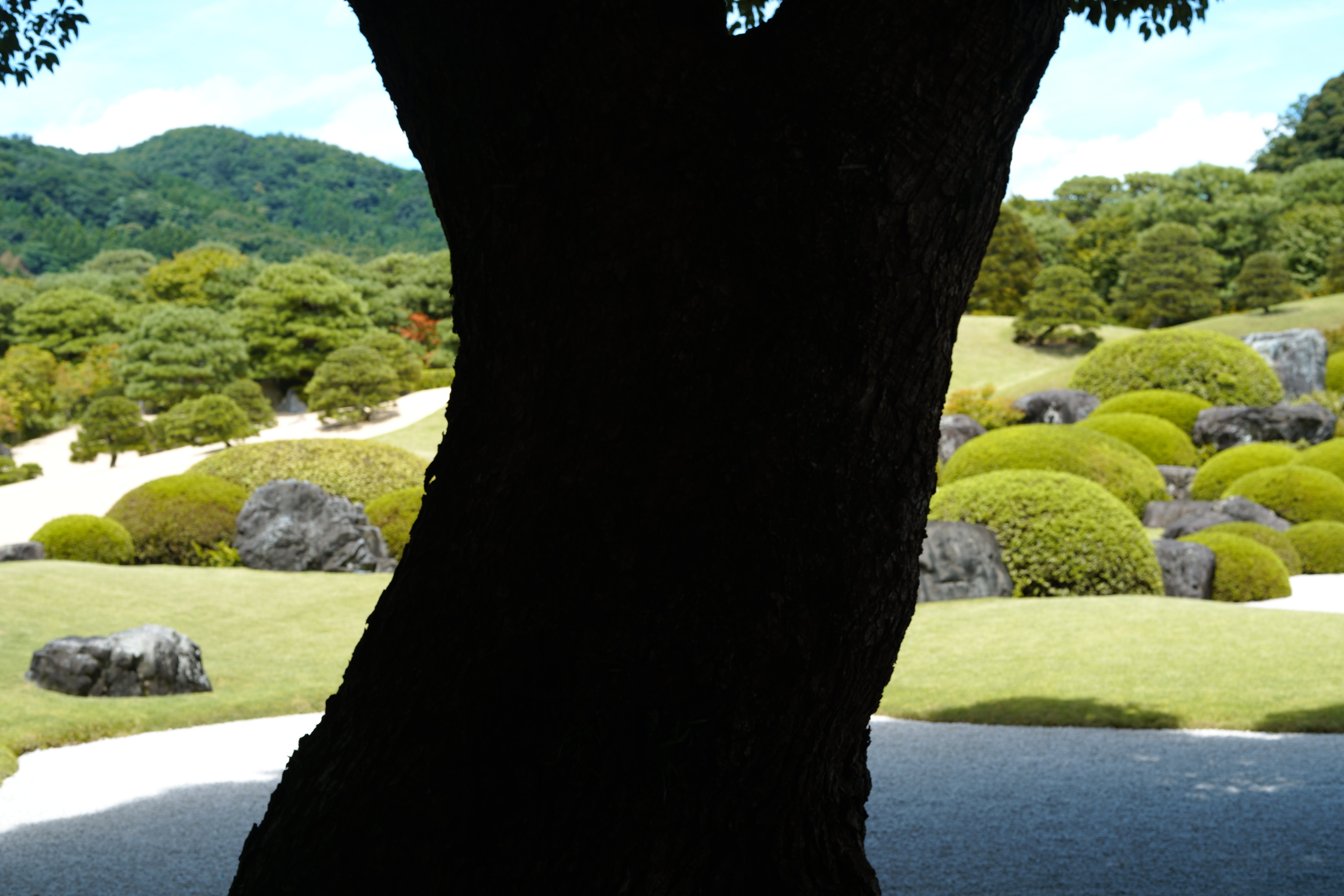 足立美術館の日本一美しい庭園を撮る｜鉄人