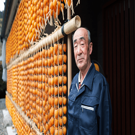生きがいの「連柿」つくり／伊自良大実連合会 代表 佐野 敬二さん