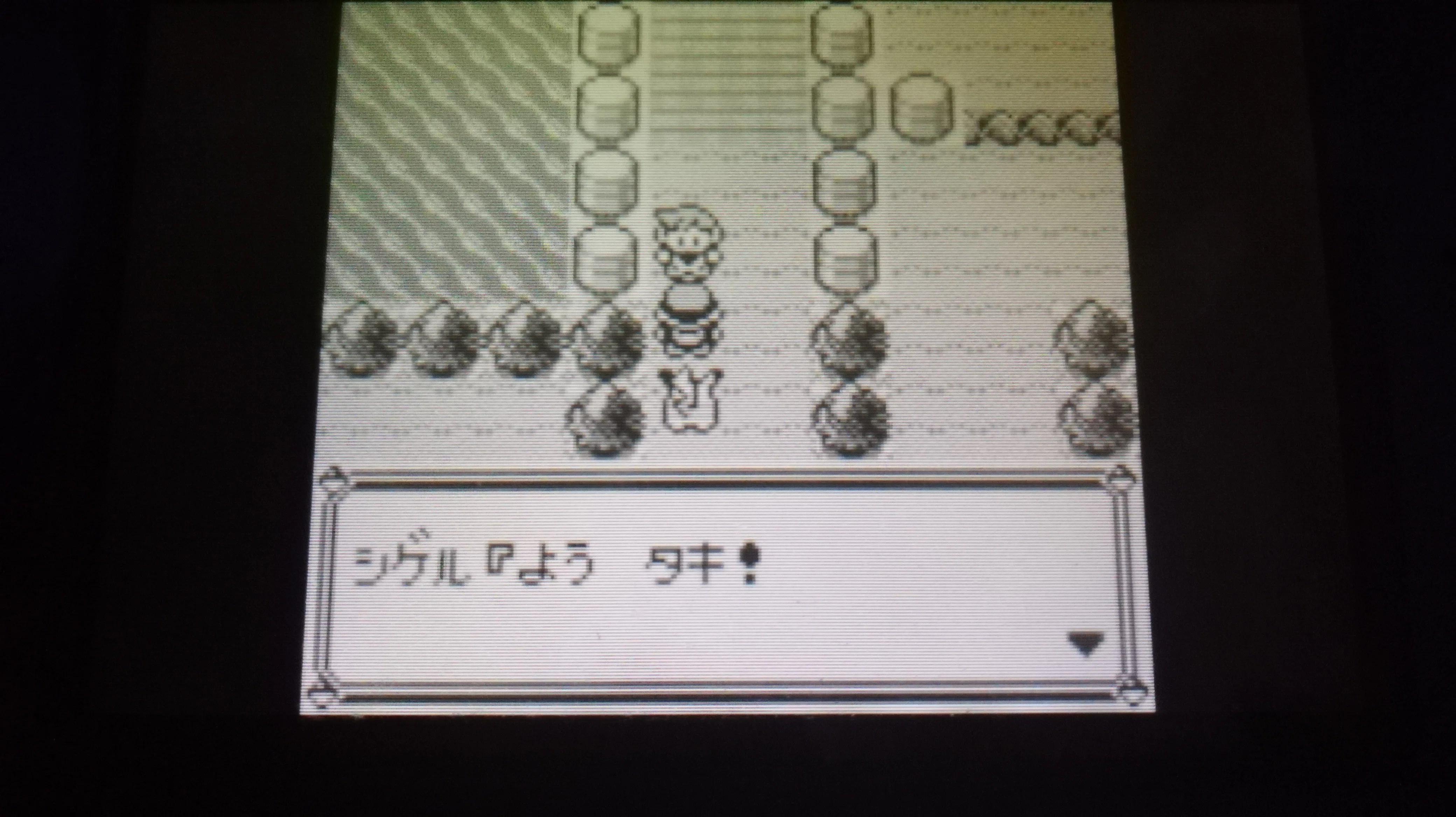 ポケモン全国行脚の旅日記 ピカチュウ版＃3｜瀧