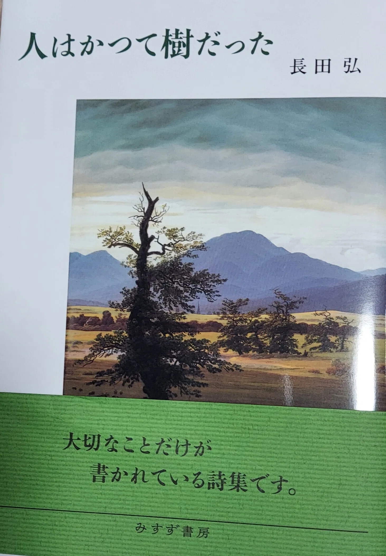 読書日記R6】8／5 樹喜記（樹と出会う喜びを記す）読書編｜虹色の 