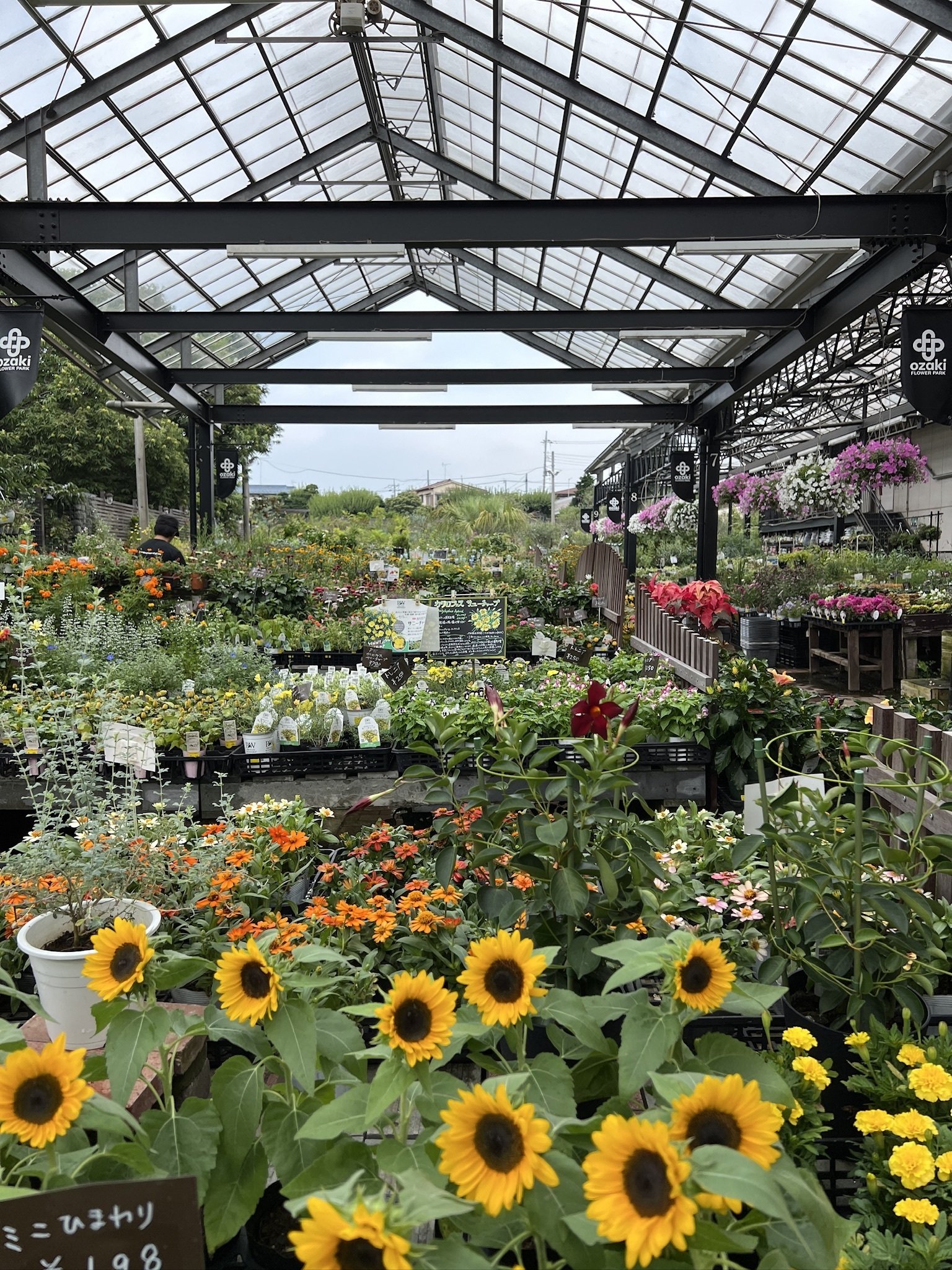 オザキフラワーパークに行ってみた。｜Ms'HIRO